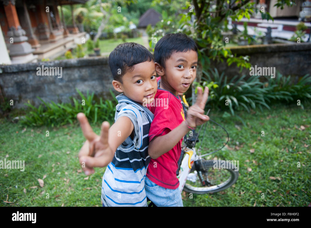 Asian boys playing in backyard Stock Photo