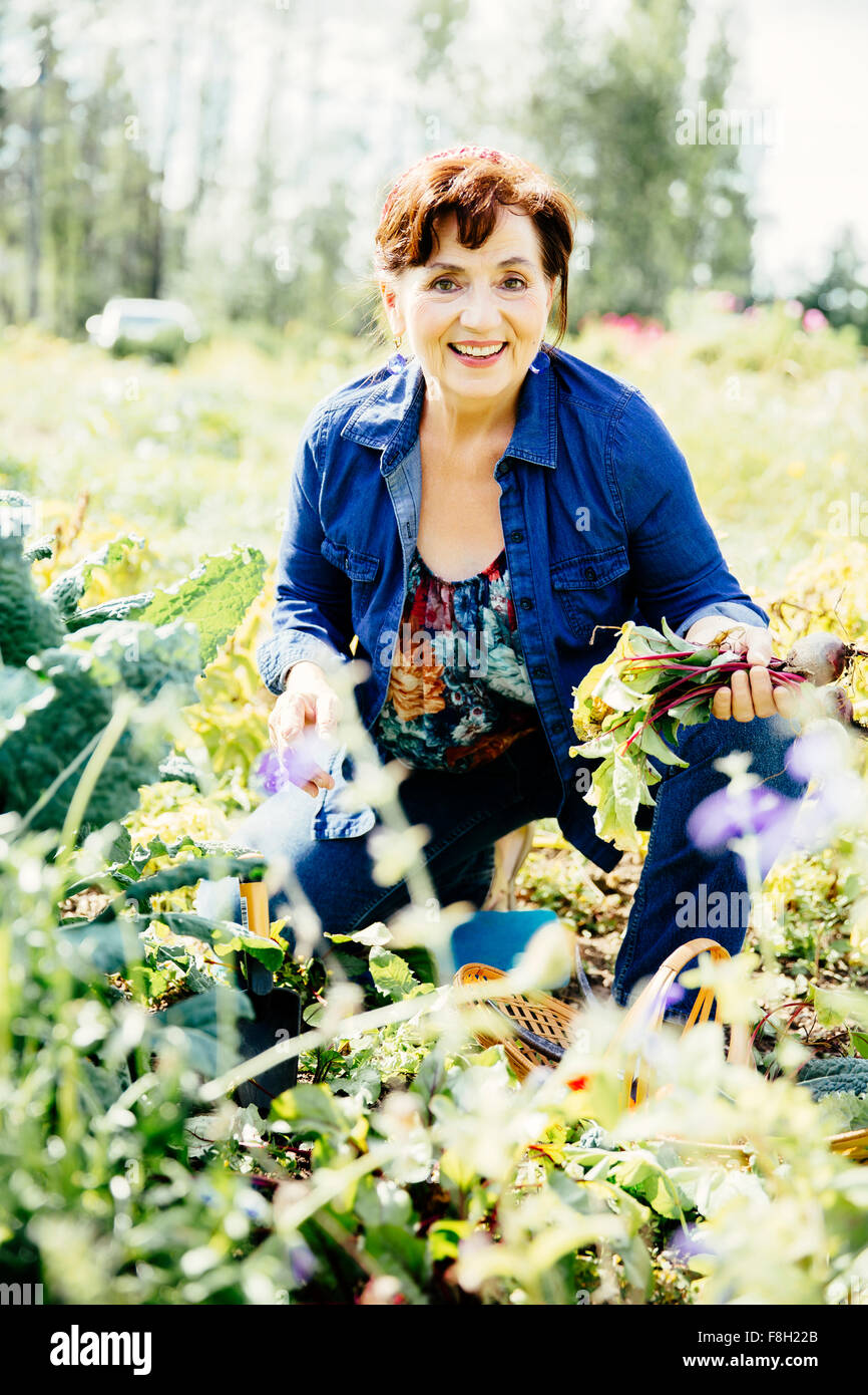 Caucasian woman picking vegetables in garden Stock Photo