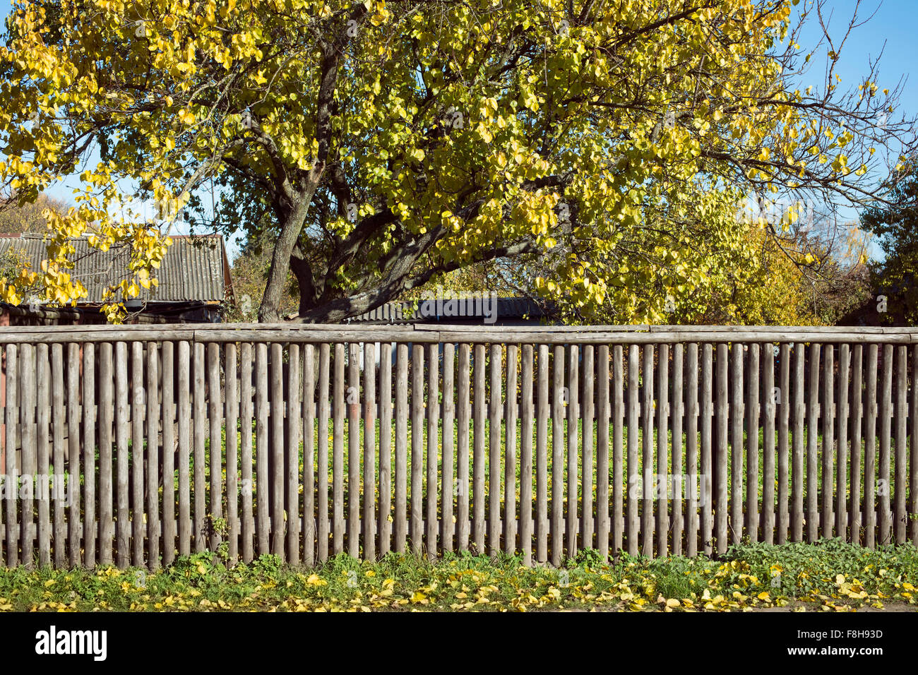 authentic weathered wooden fence by autumn in countryside area Stock Photo