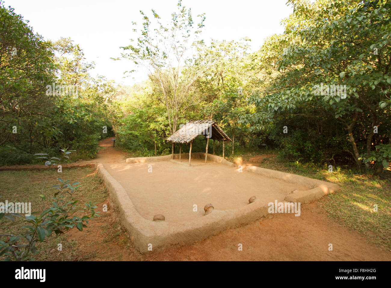 Community dance area in a forest clearing in Chorla Ghats, Mhadei