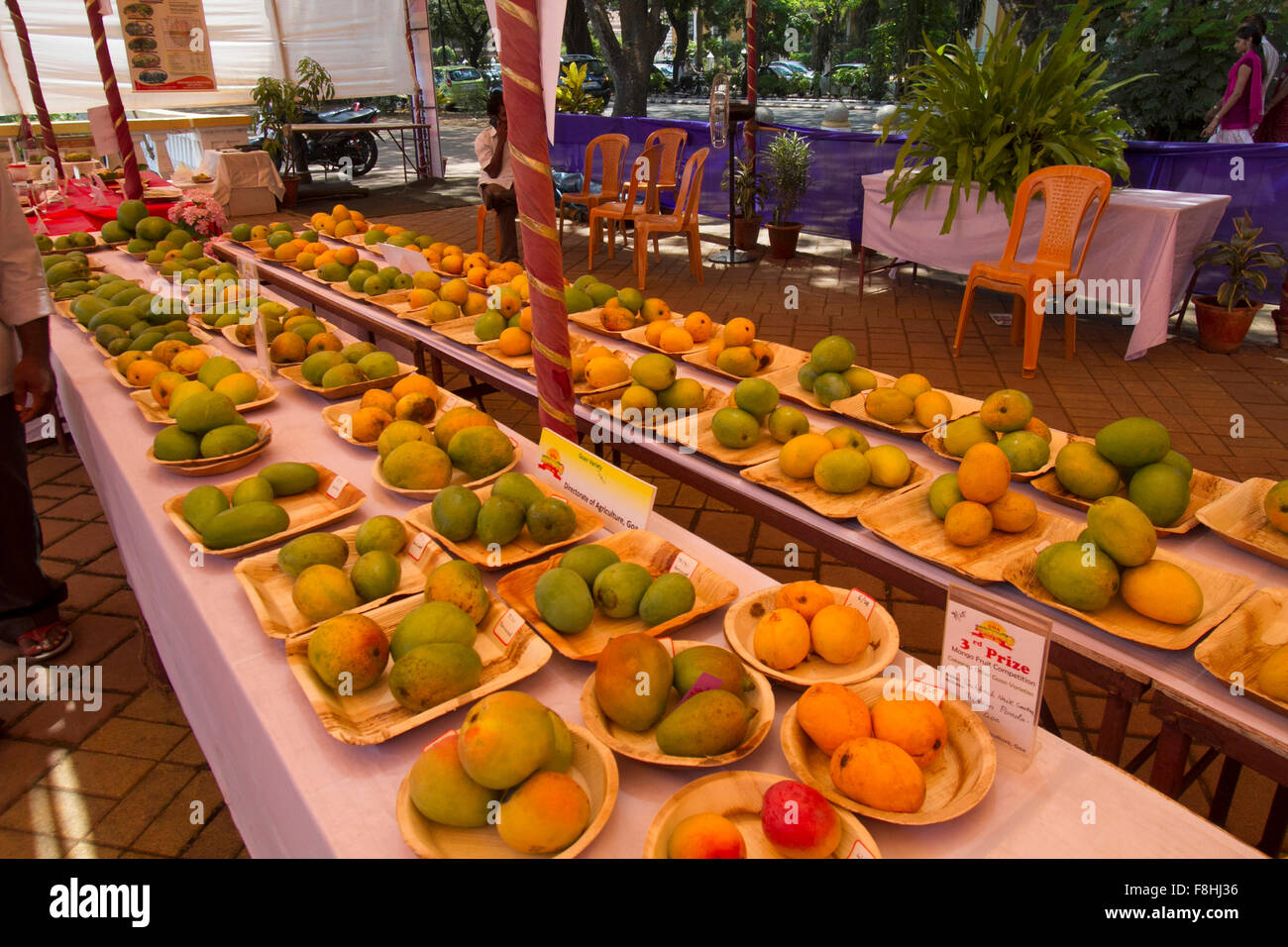 Display of Mango varieties at a Mango festival held in Panaji Goa. Stock Photo