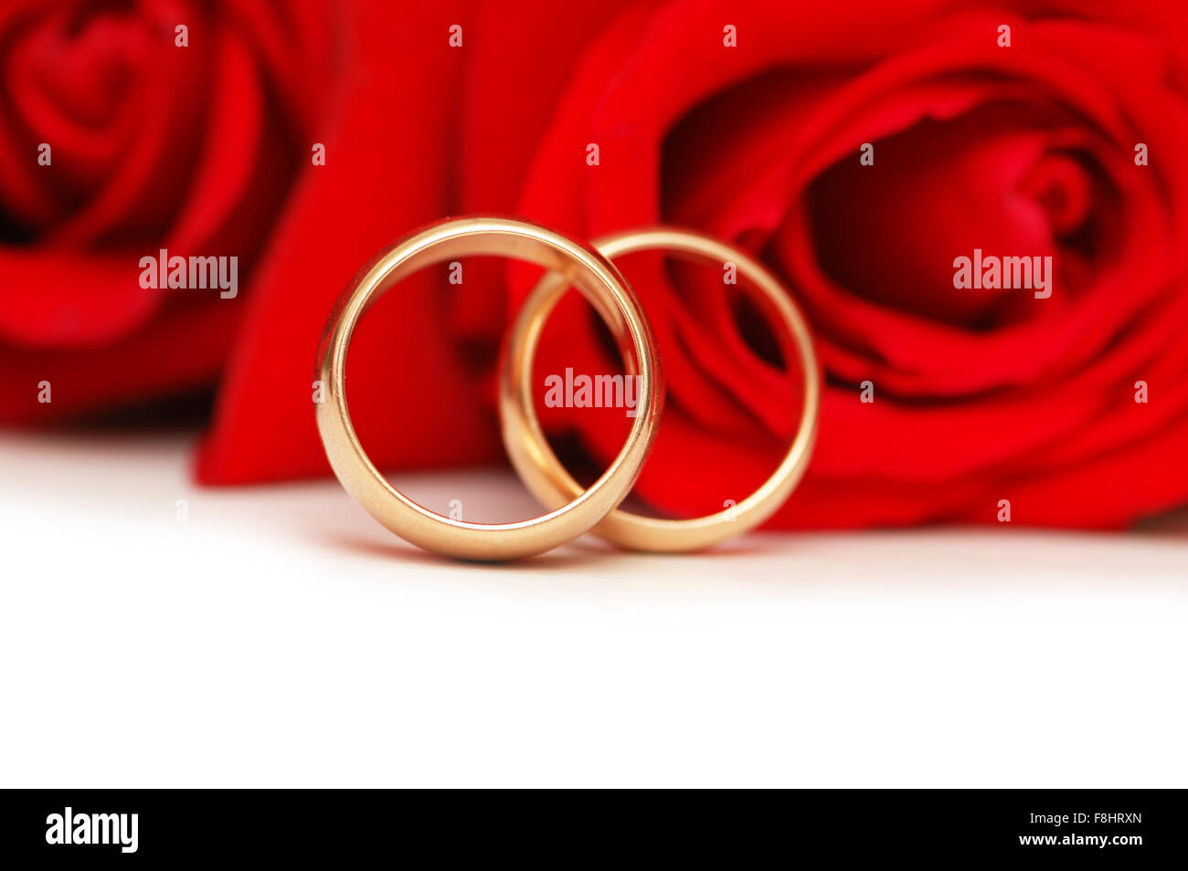 Red Roses With 2 Rings Two wedding rings and red roses isolated on white Stock Photo - Alamy