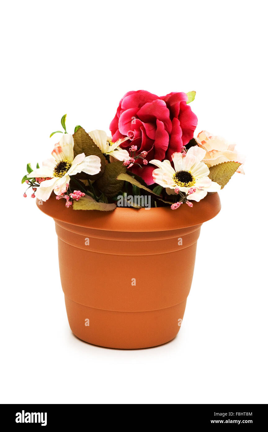 Planting tree in pot Cut Out Stock Images & Pictures - Alamy