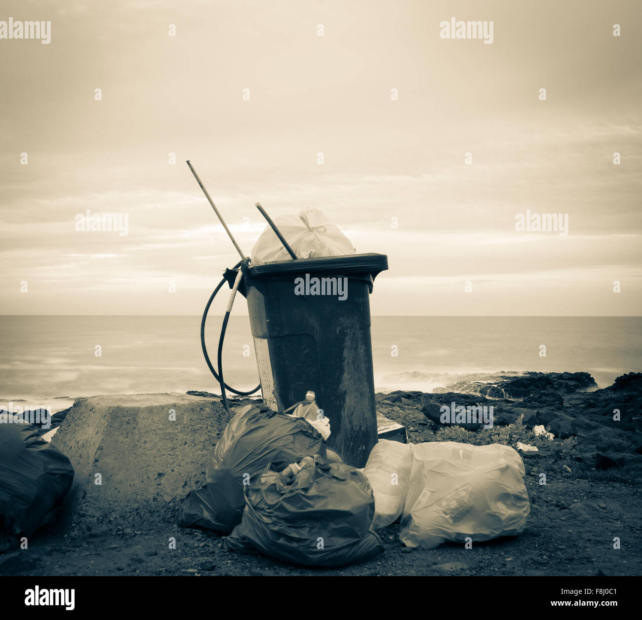 Wheelie bin on beach Stock Photo Alamy