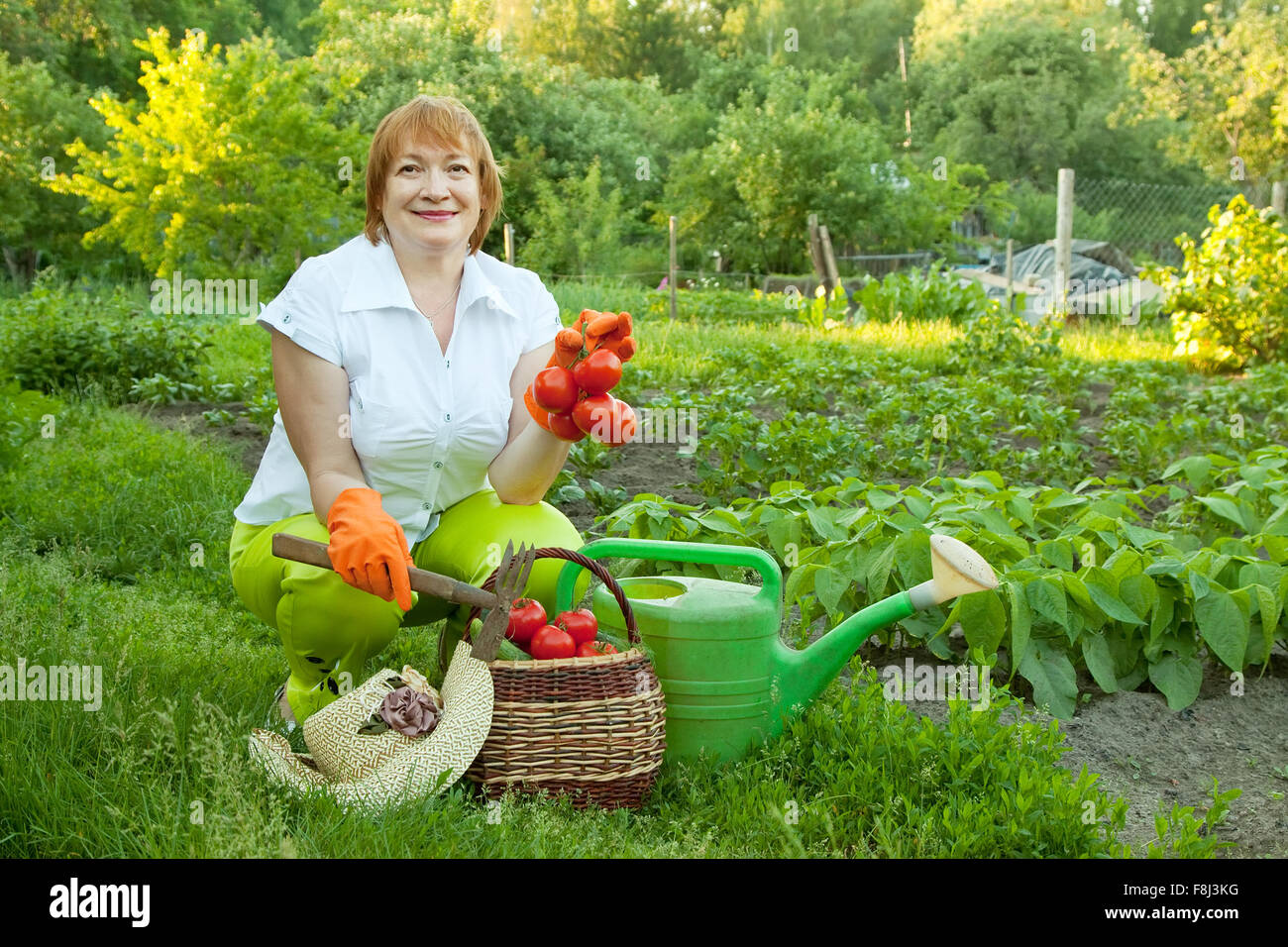 Happy mature woman in vegetables garden Stock Photo - Alamy