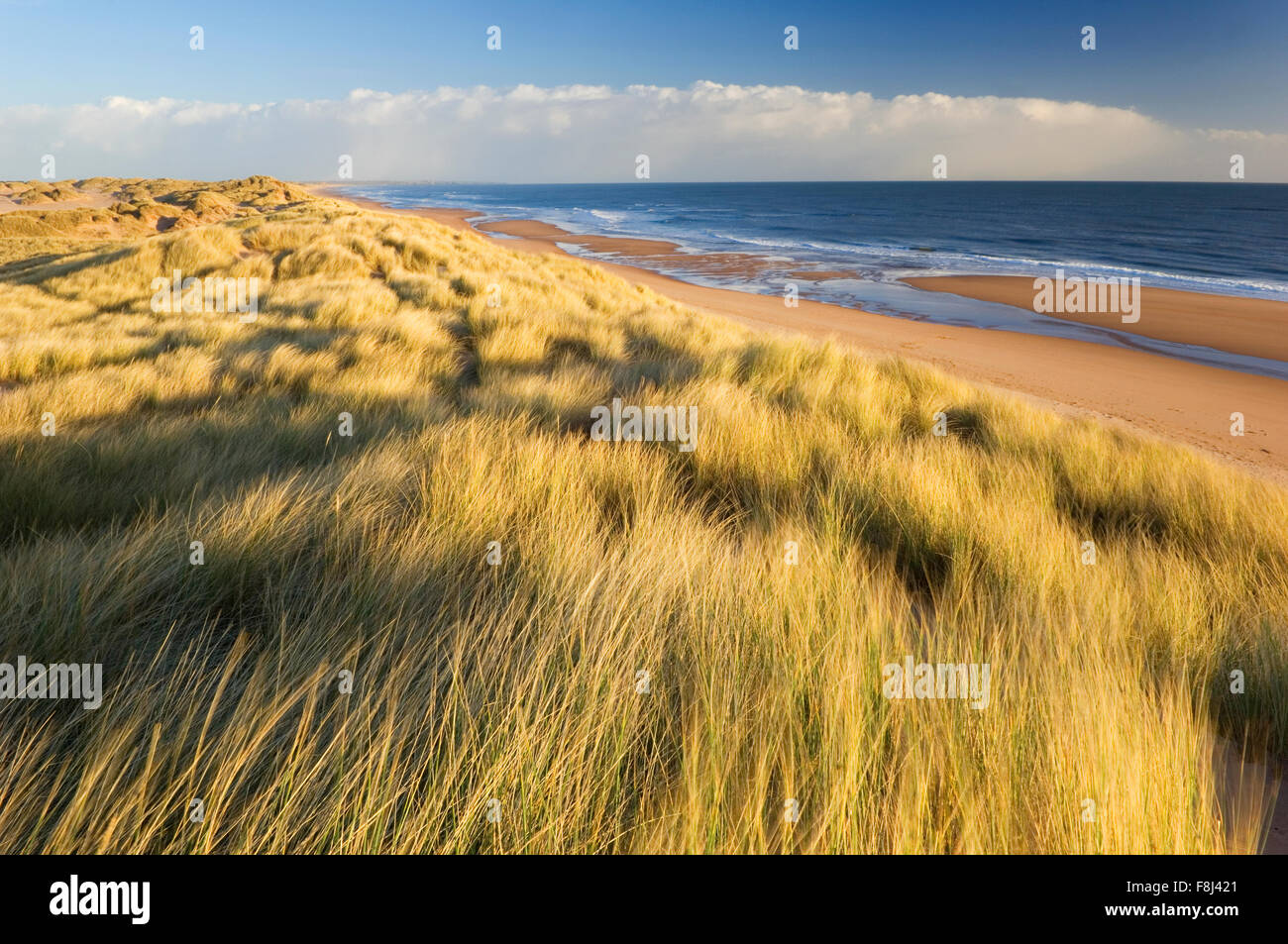 Balmedie beach - near Aberdeen, Scotland. Stock Photo
