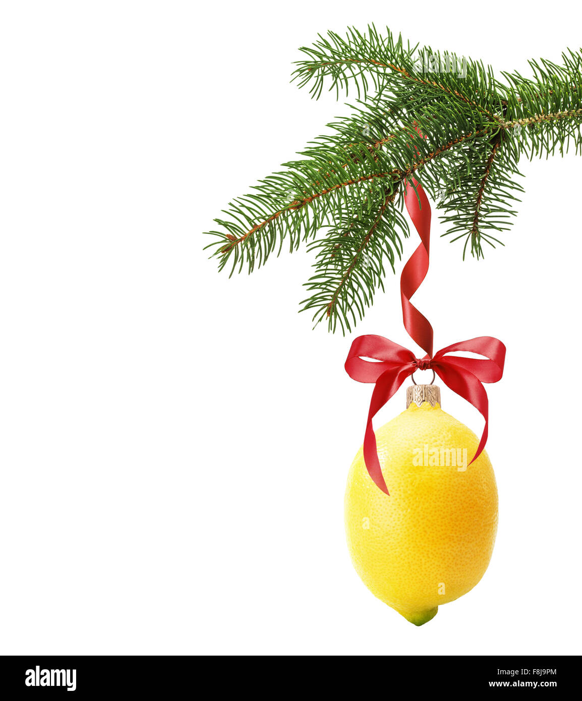 Christmas tree branch with Christmas ball in shape of lemon isolated on the white background. Stock Photo