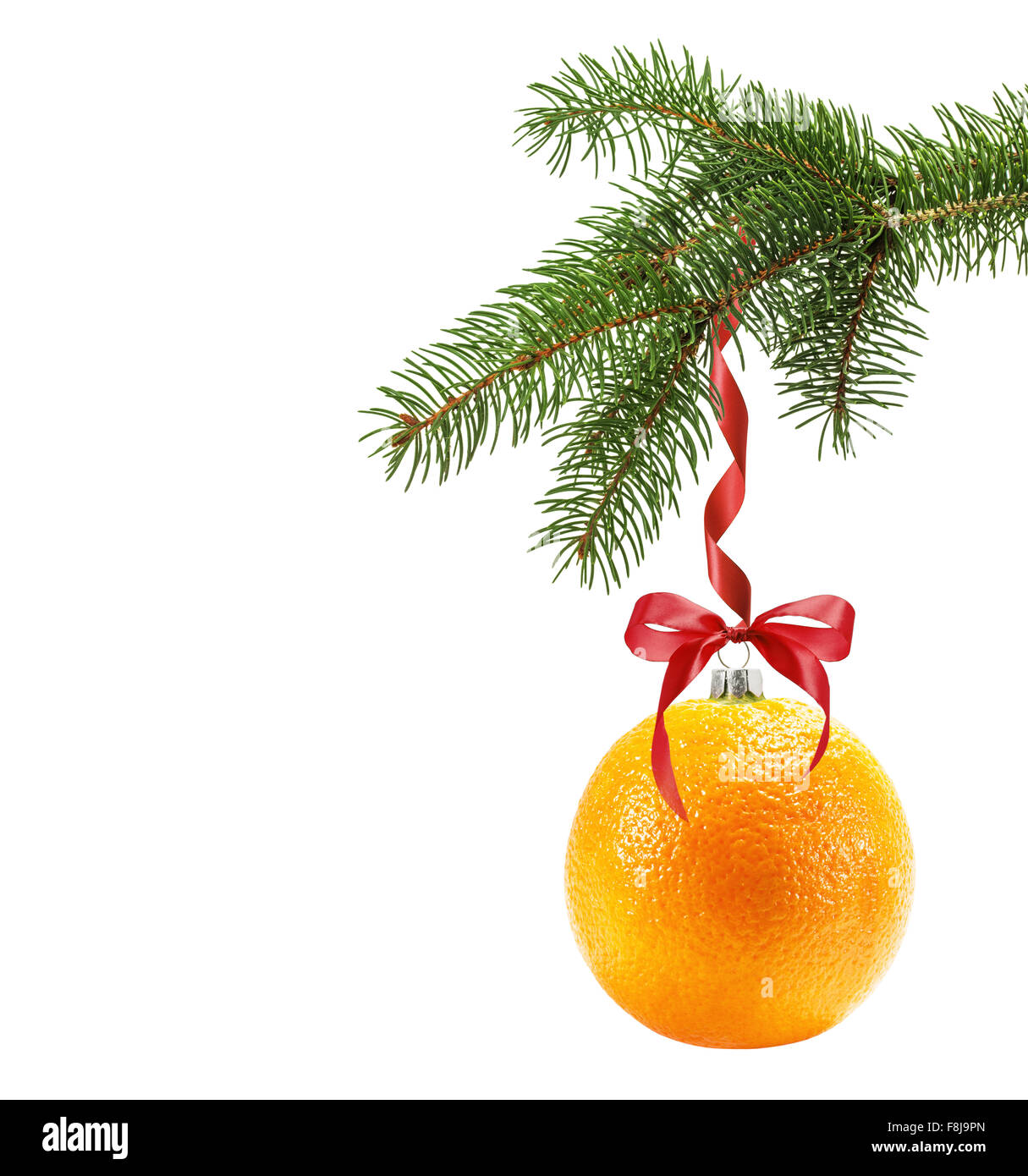 Christmas tree branch with Christmas ball in shape of orange isolated on the white background. Stock Photo