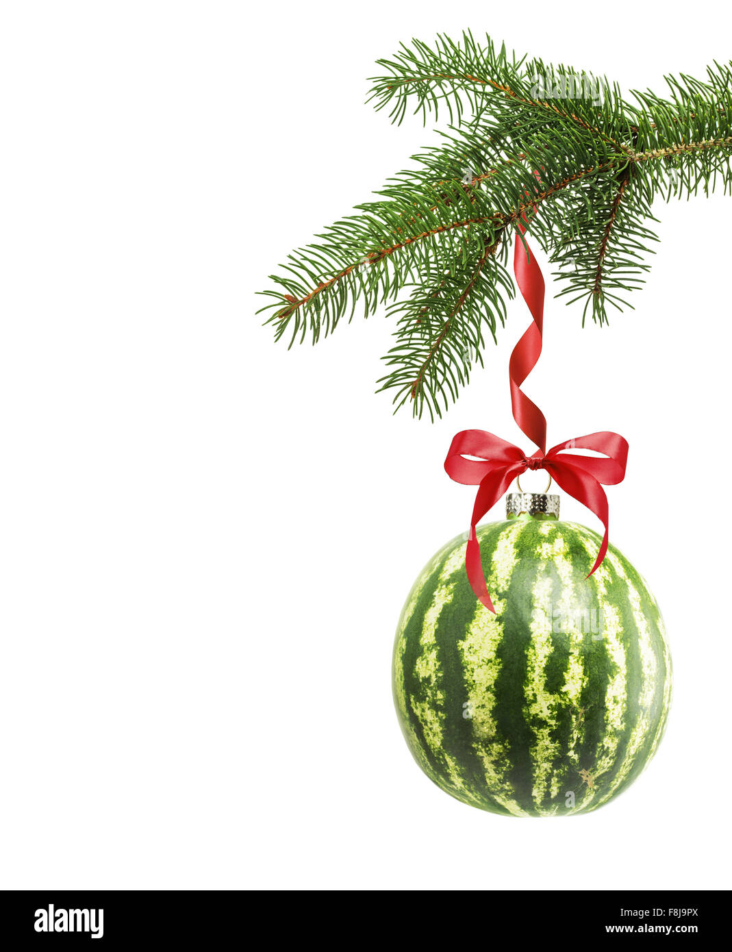 Christmas tree branch with Christmas ball in shape of watermelon isolated on the white background. Stock Photo
