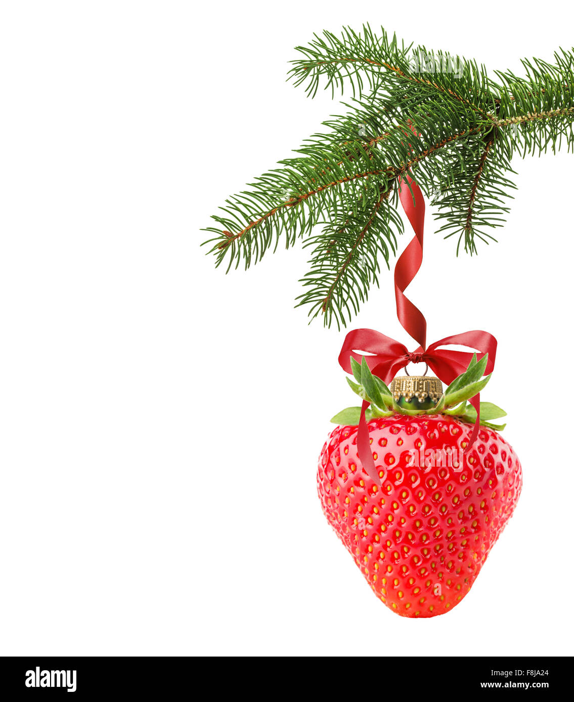 Christmas tree branch with Christmas ball in shape of strawberry isolated on the white background. Stock Photo