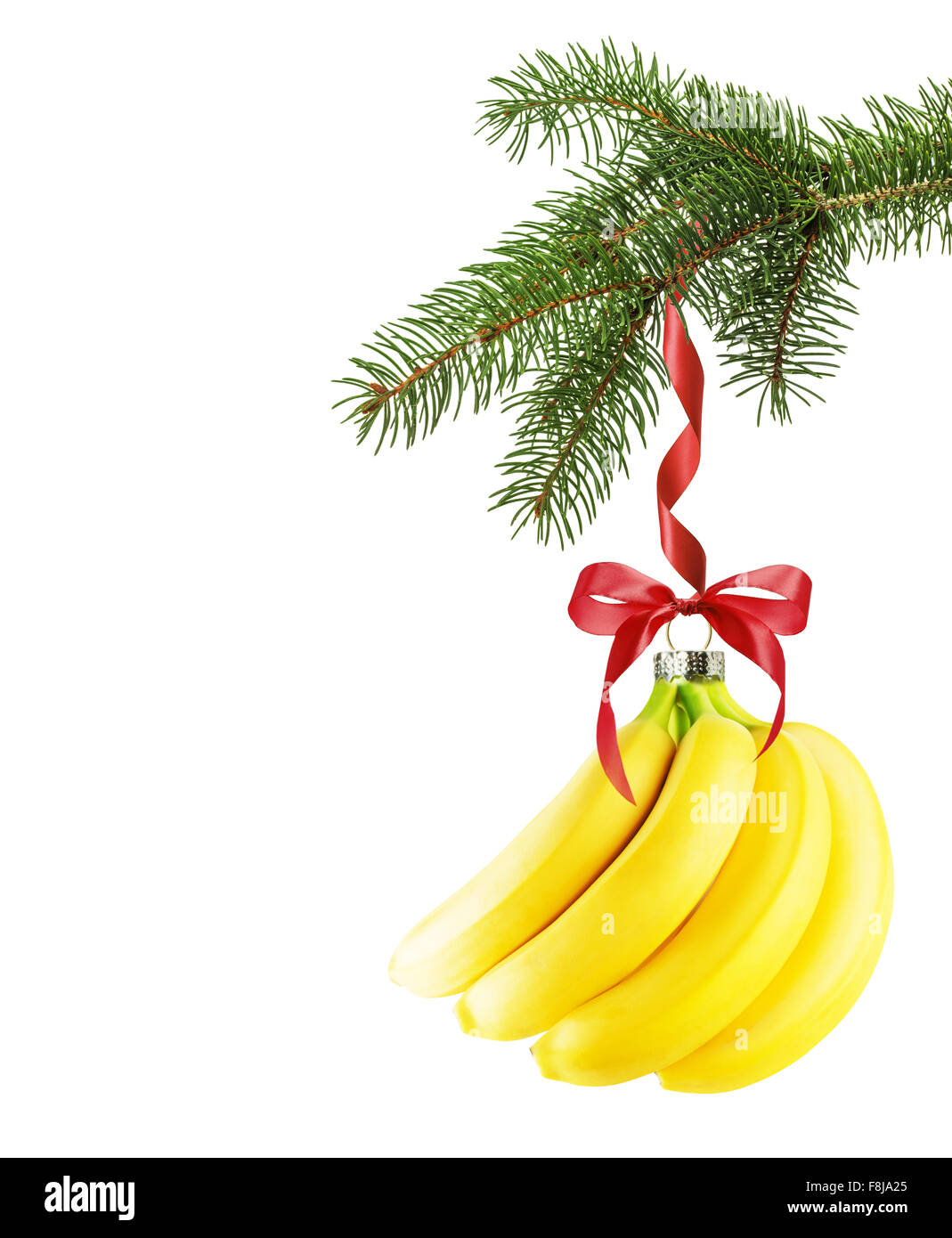 Christmas tree branch with Christmas ball in shape of banana isolated on the white background. Stock Photo