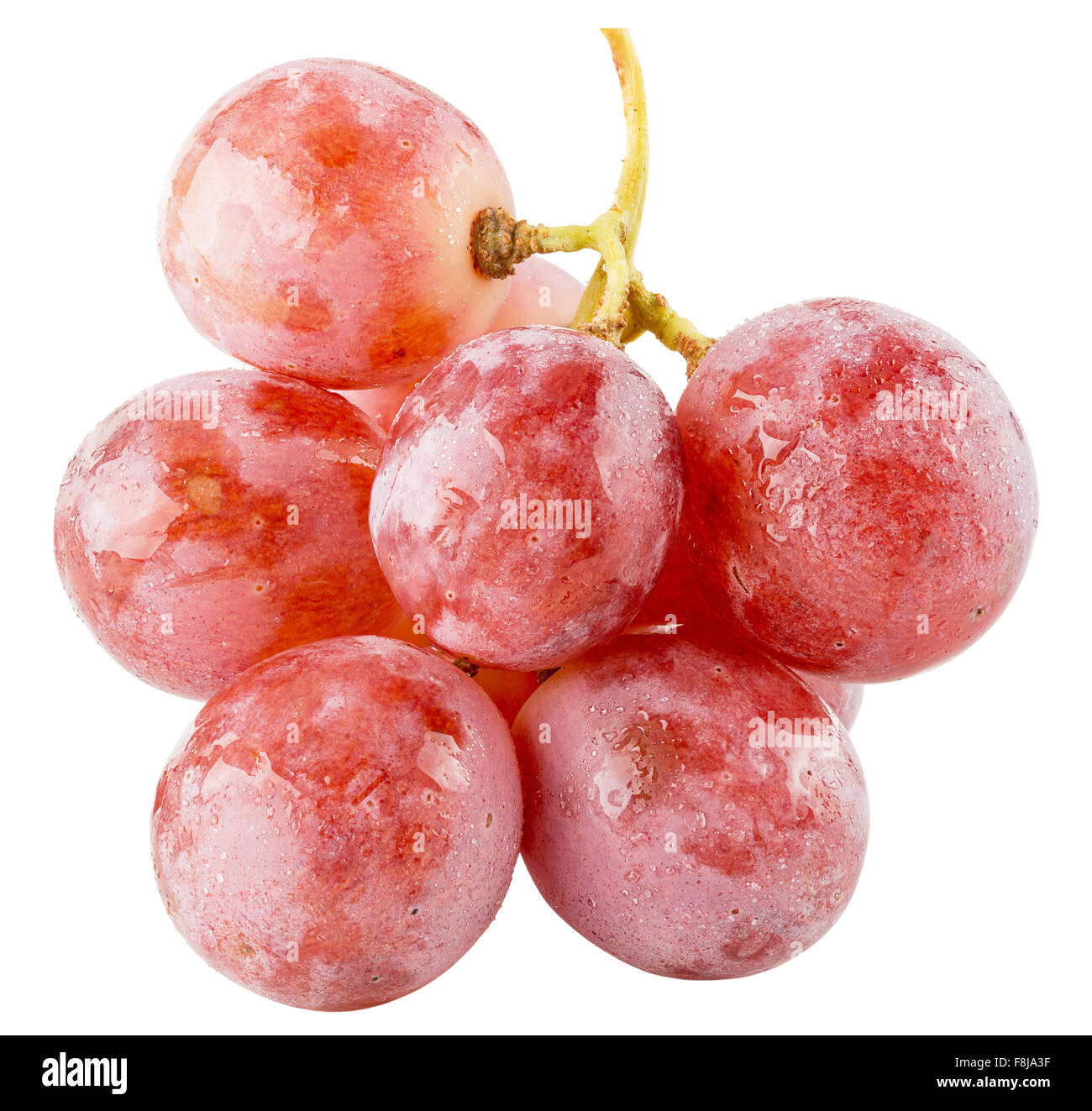 pink grapes isolated on the white background. Stock Photo