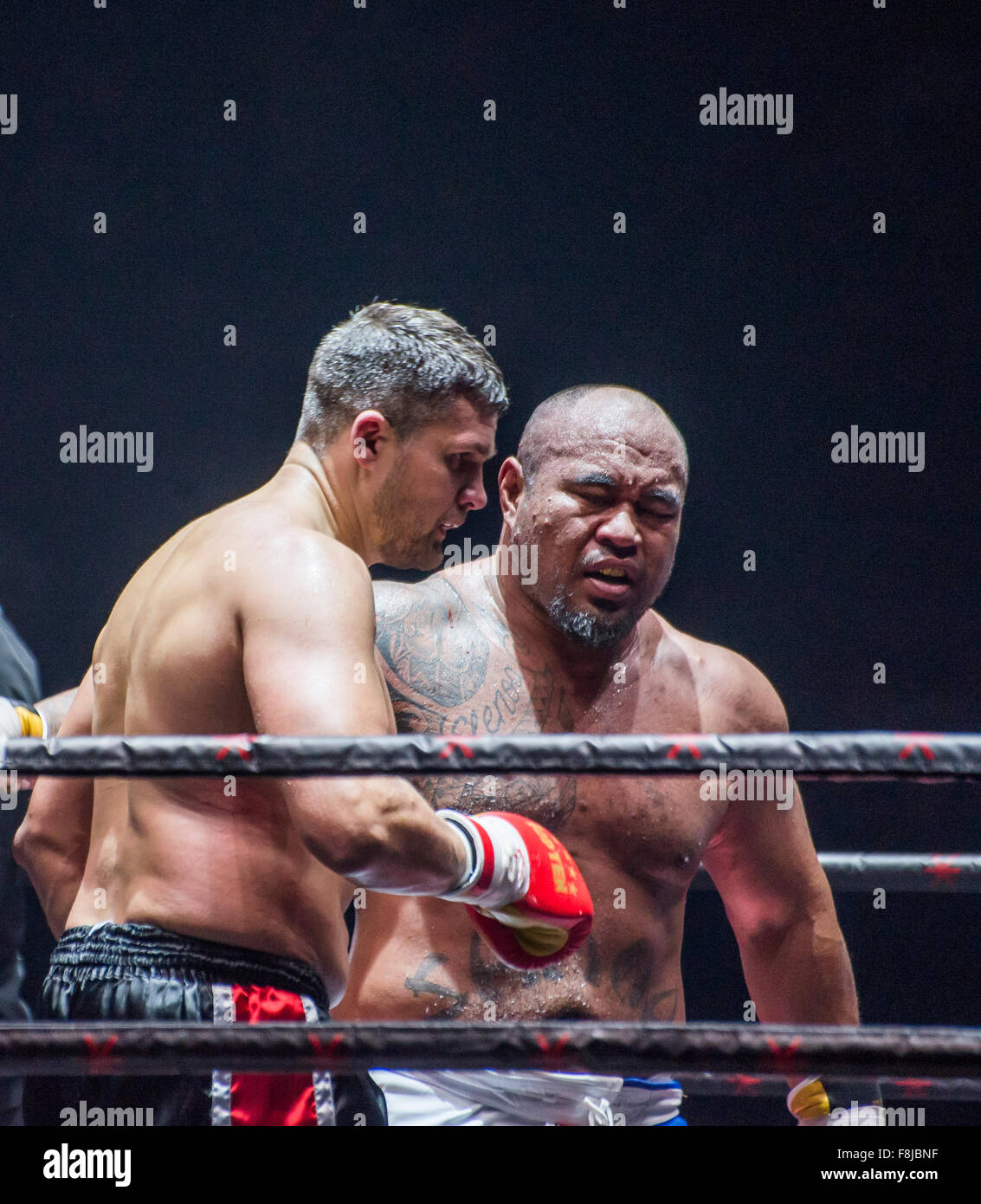 洋楽 Mighty Mo - Party of The Year 洋楽 Mighty Mo - Party of The Year 洋楽 Mighty Mo - Party of The