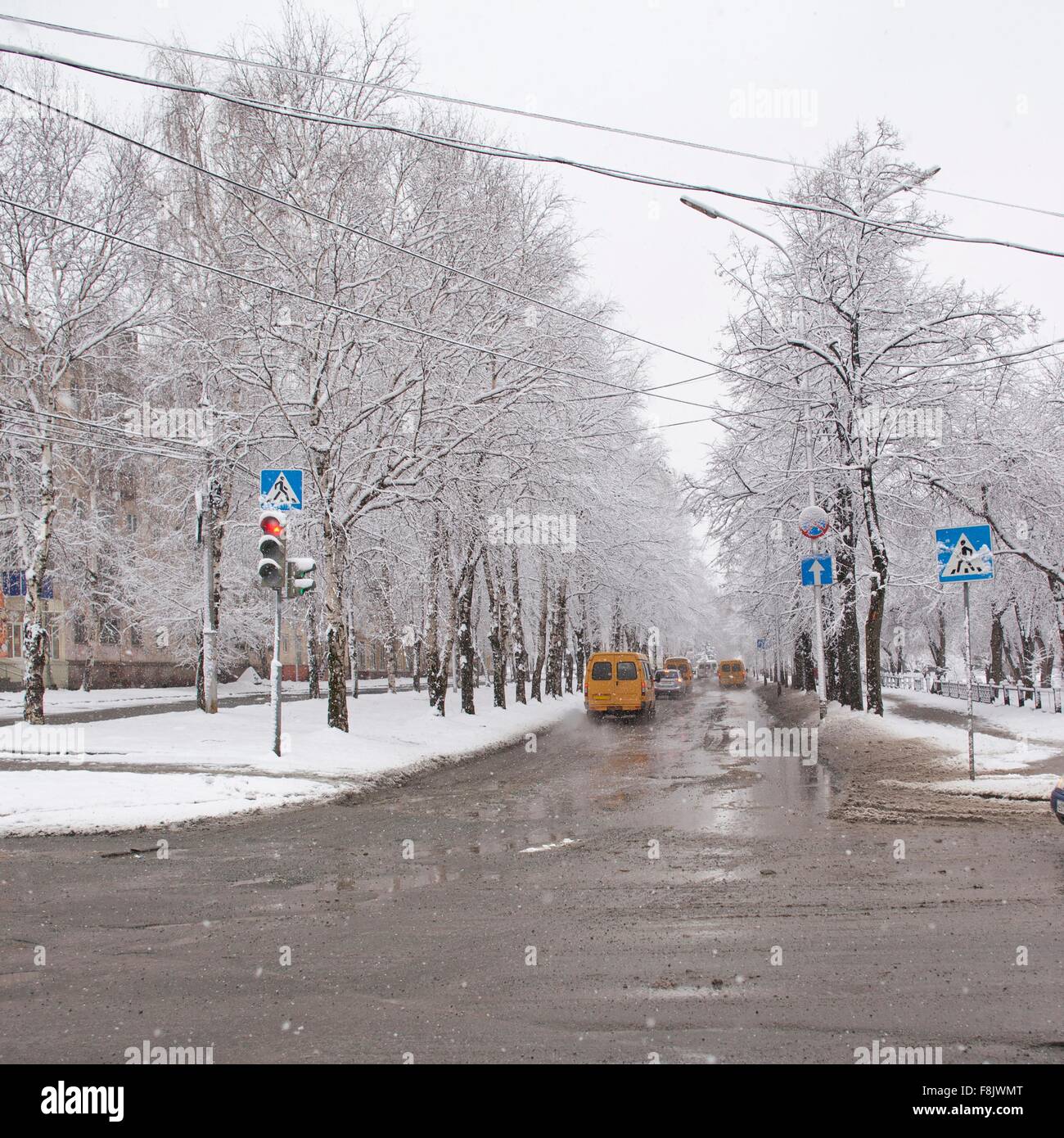 Snowy scene, tree lined road with traffic lights and traffic Stock ...