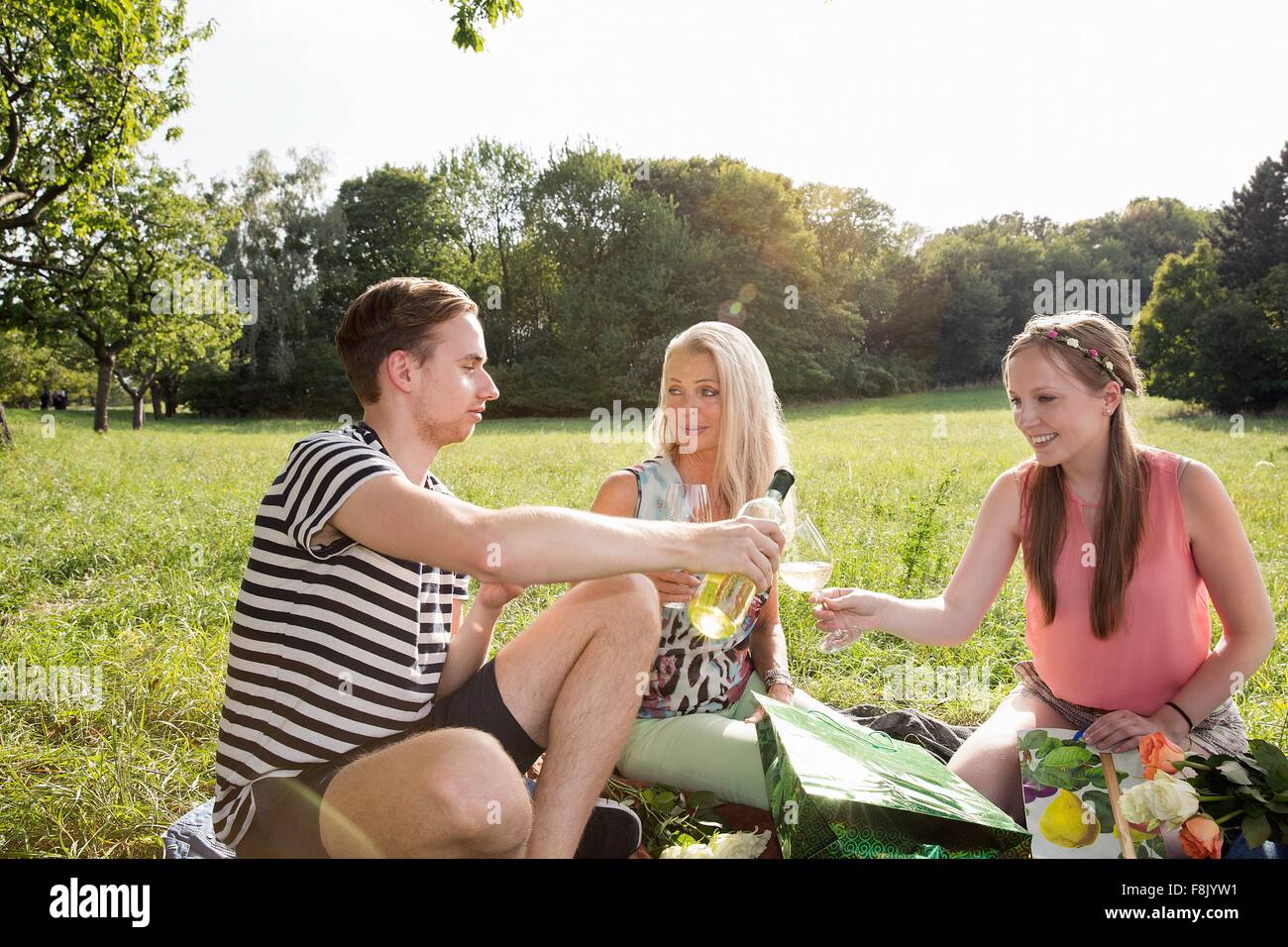 Family sitting on grass in park enjoying a glass of wine Stock Photo
