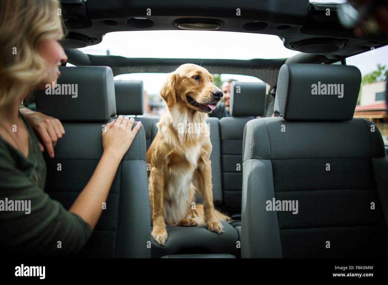 Dog looking over his shoulder hi-res stock photography and images - Alamy