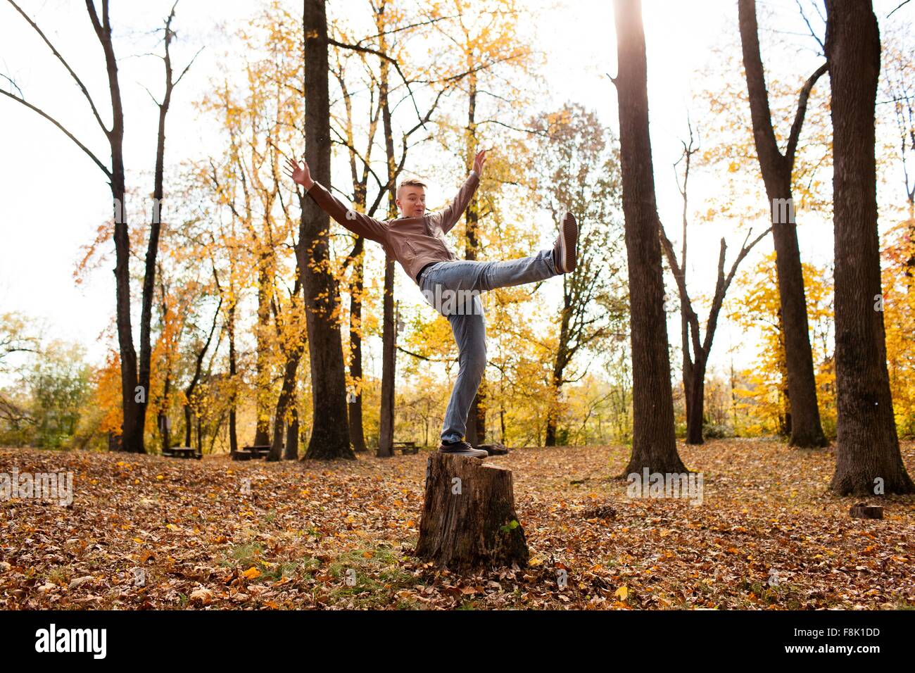 Teenage boy balancing on tree stump in autumn forest Stock Photo