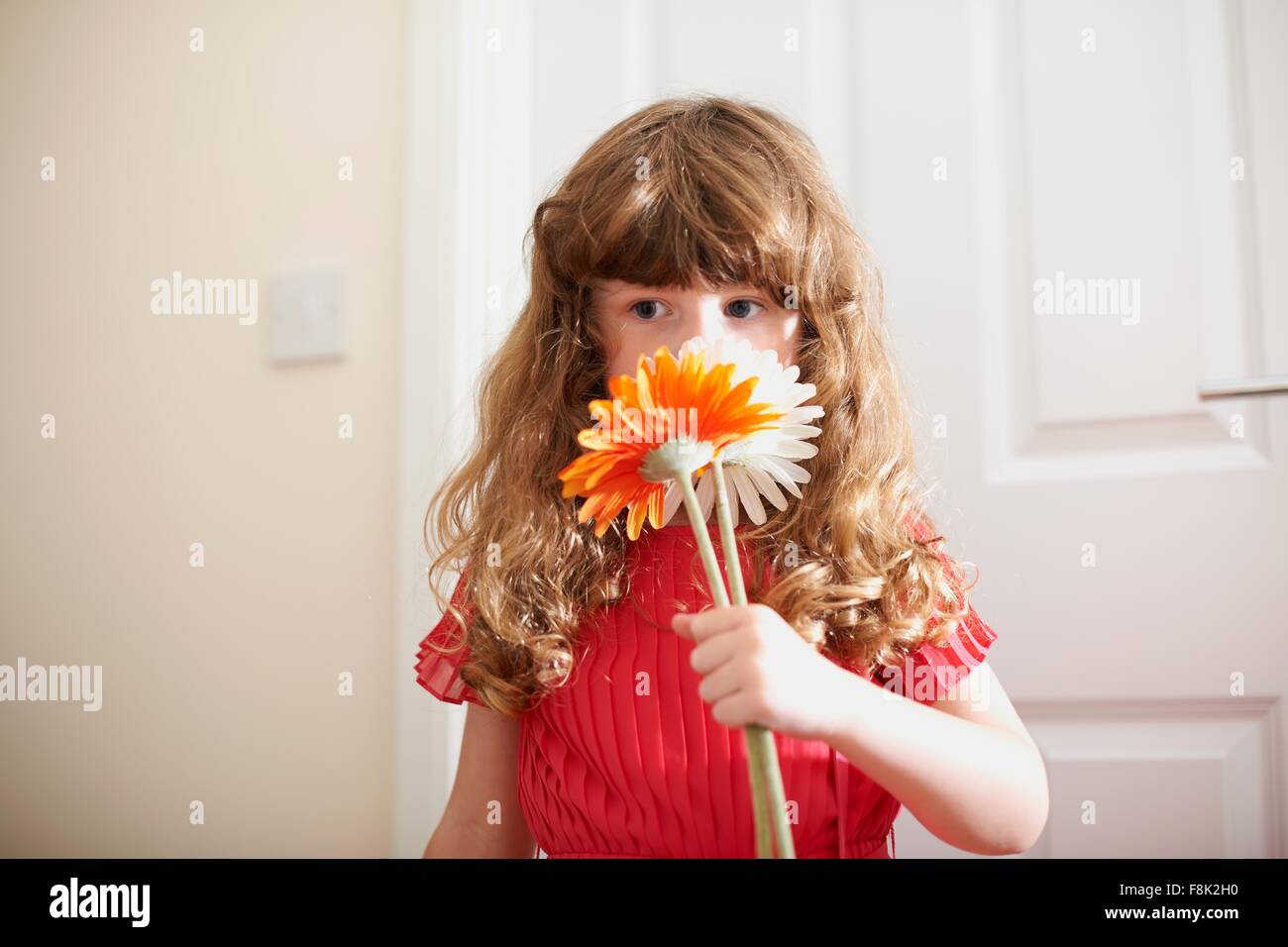 Portrait of cute girl smelling cut flowers Stock Photo - Alamy