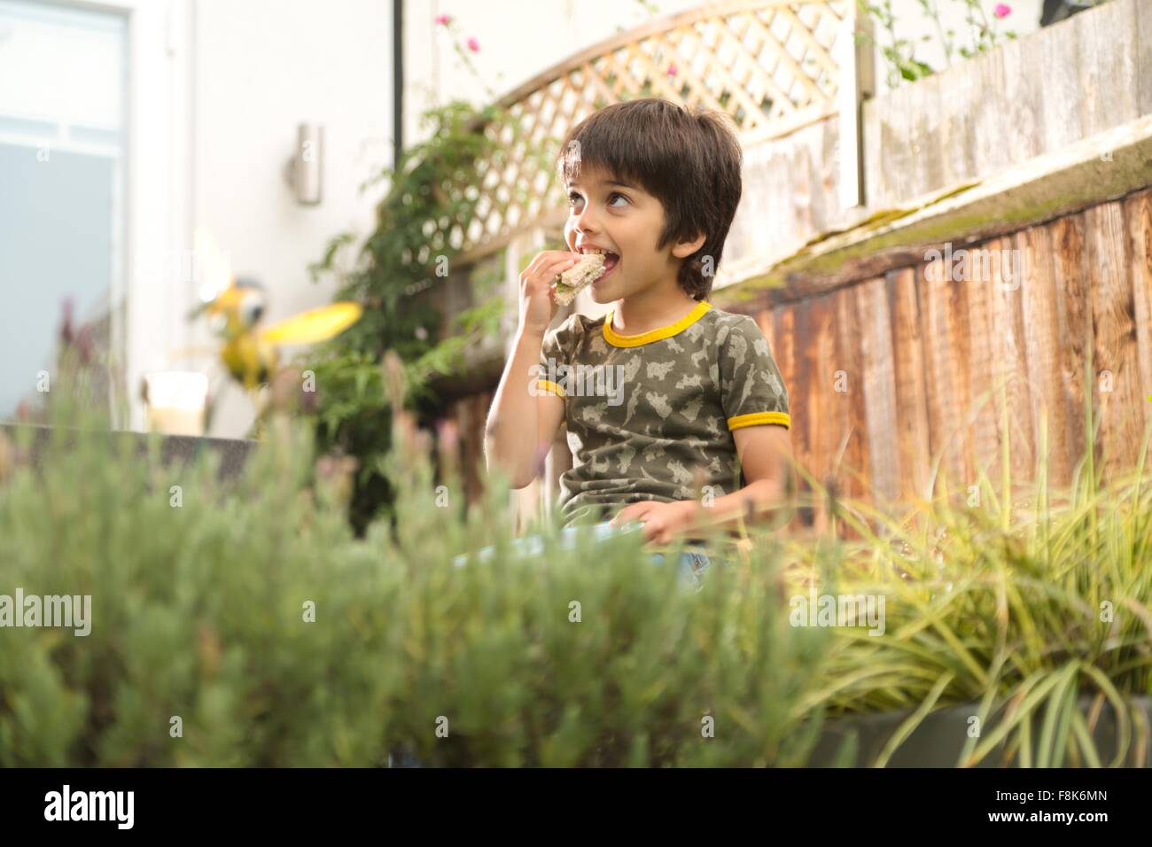 Low angle view of boy sitting in garden eating sandwich looking away Stock Photo