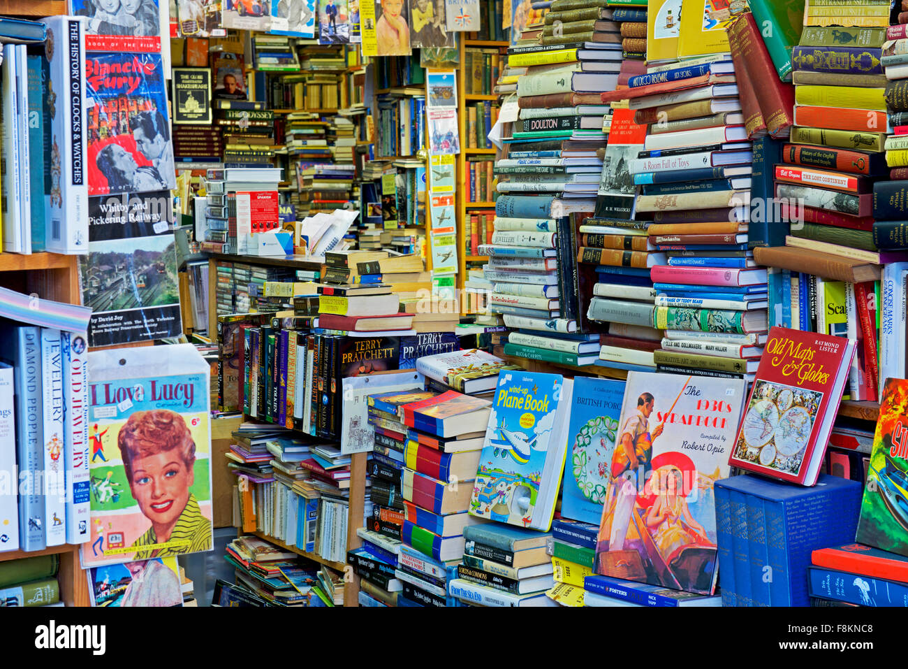 Interior of Camilla's Bookshop, Grove Road, Eastbourne, East Sussex, England UK Stock Photo