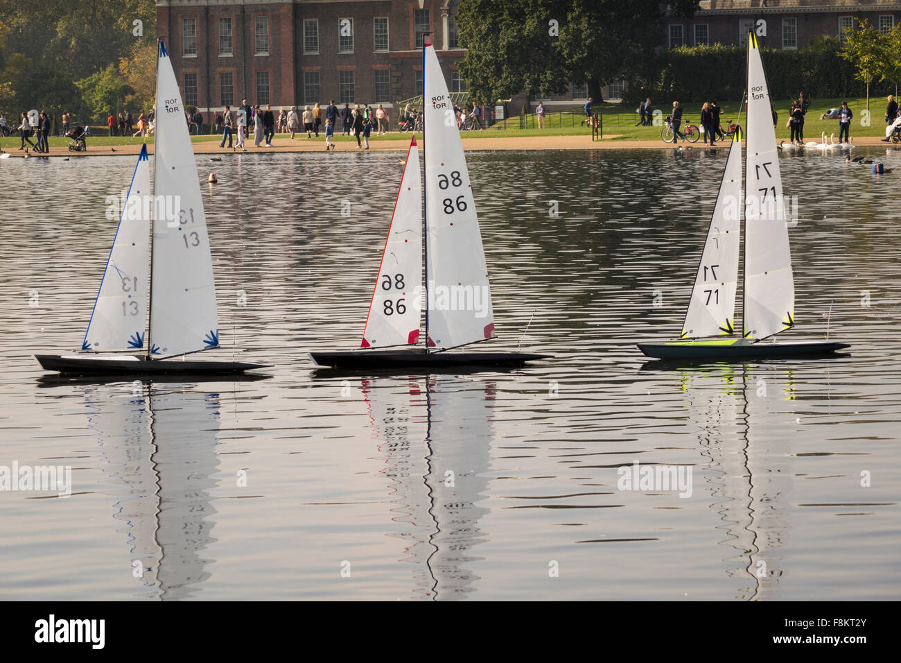 Model yachts race across Round Pond in Kensington Gardens, London, England Stock Photo