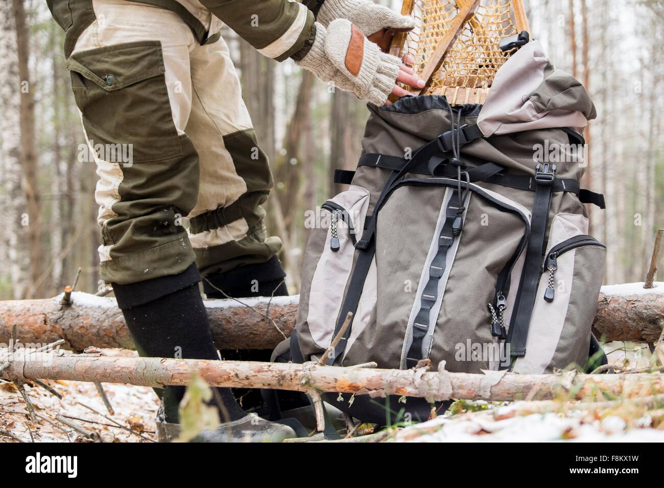 Cropped view of male hiker in snow covered forest removing snow shoes from backpack, Ural, Russia Stock Photo