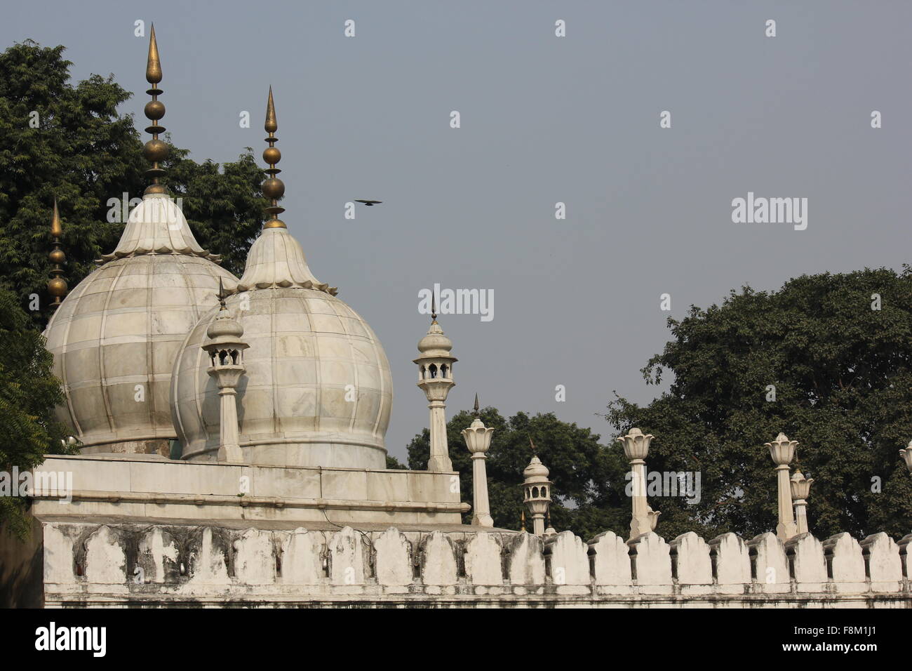 Delhi India Nov 25 Architectural Detail Of Moti Masjid In English Pearl Mosque A White Marble Mosque Inside The Red Fort C Stock Photo Alamy