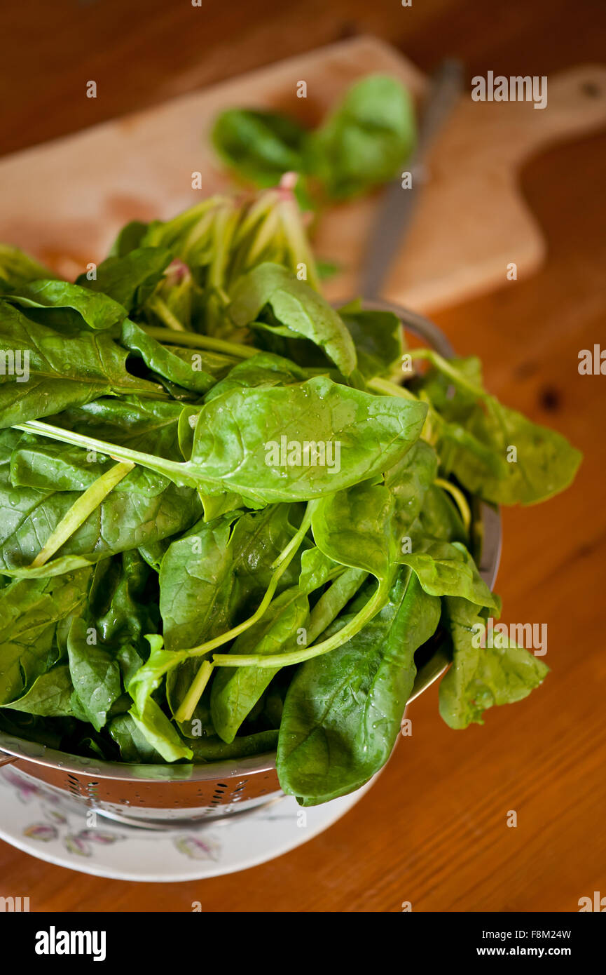 Draining spinach leaves in colander, perforated stainless steel