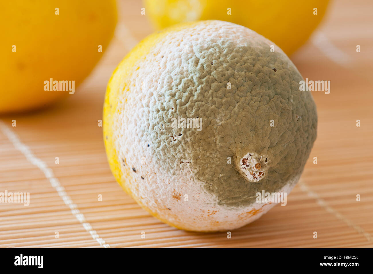 Lemon fruit mold macro, fruit lying on mat, moldy and rotten bad food wastage, one lemon garbage in horizontal orientation... Stock Photo