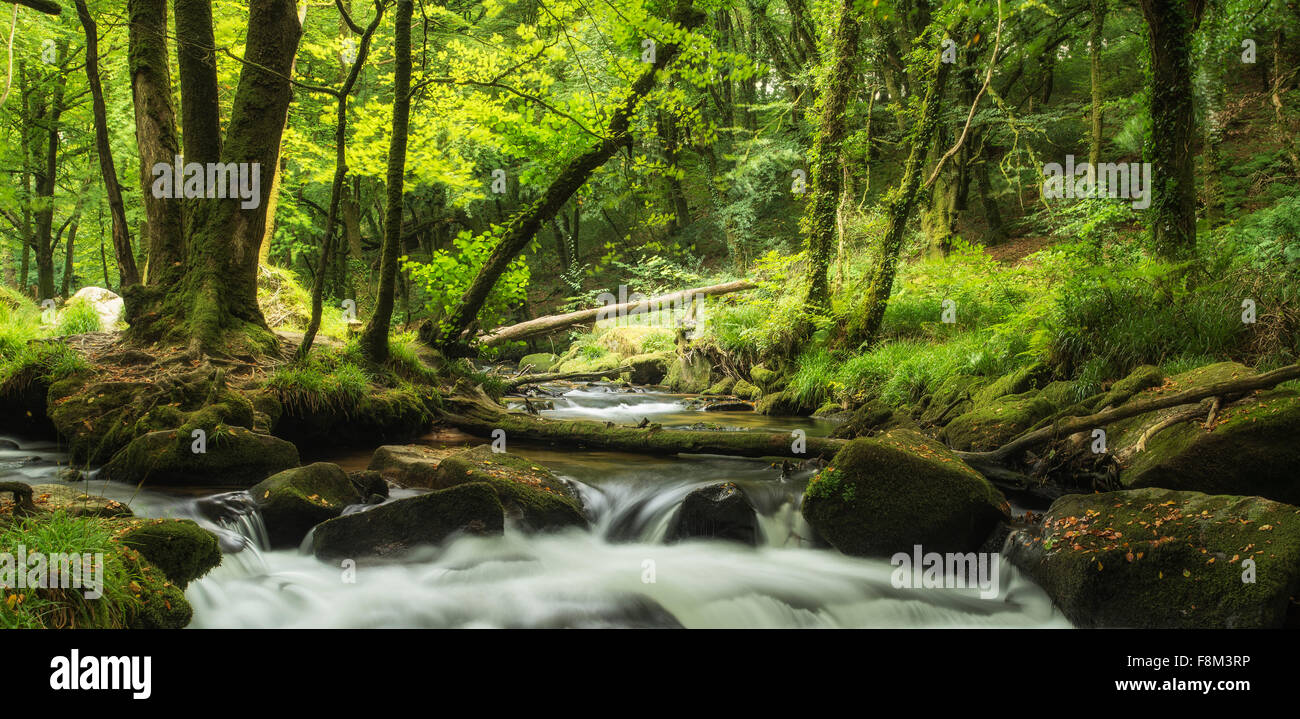 Stunning landscape of river flowing through lush forest Golitha Falls in England Stock Photo