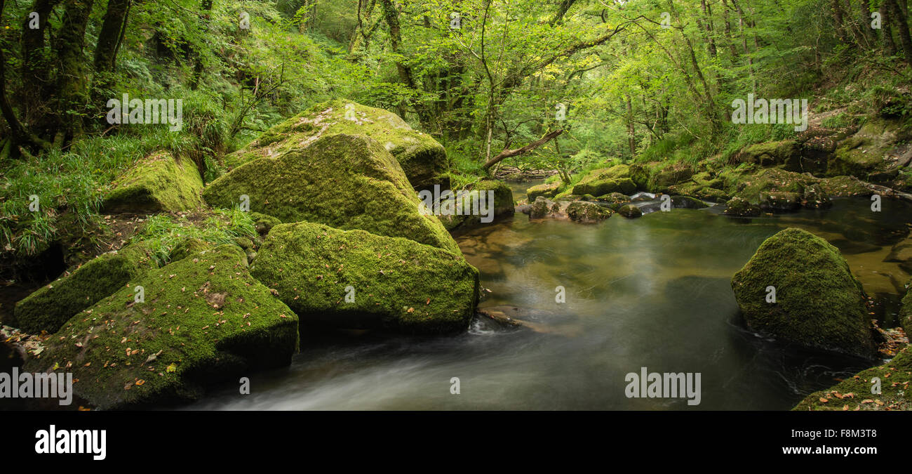 Stunning landscape of river flowing through lush forest Golitha Falls in England Stock Photo