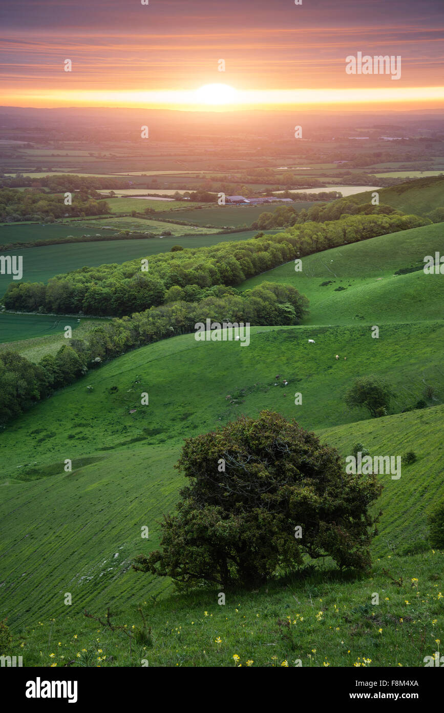 Sunrise over rolling English countryside landscape in Spring Stock Photo