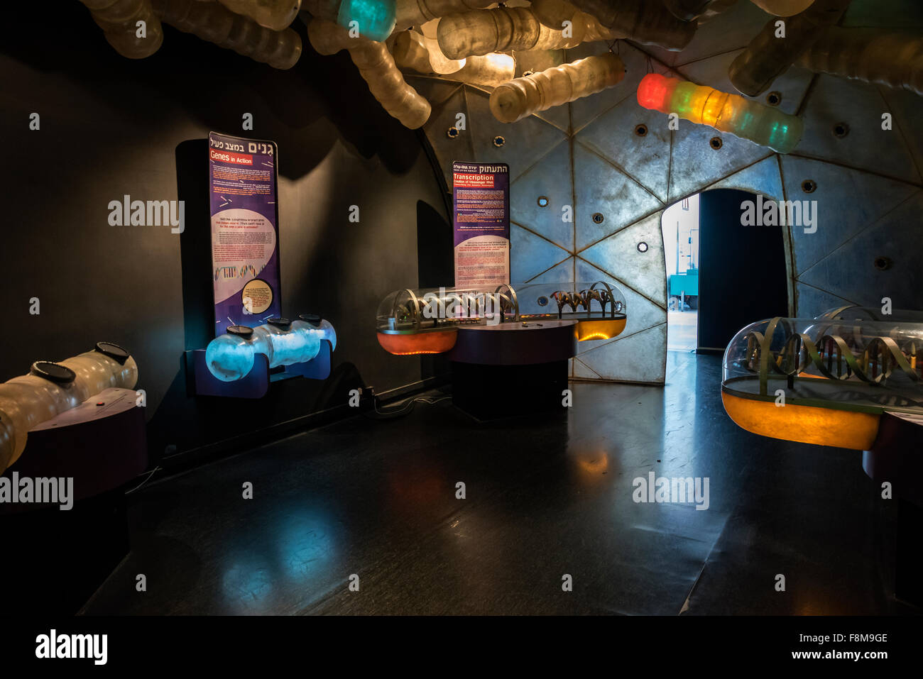 The exhibition “Secrets of Life - DNA world”, National Museum of Science, Technology, and Space , Israel, Haifa Stock Photo