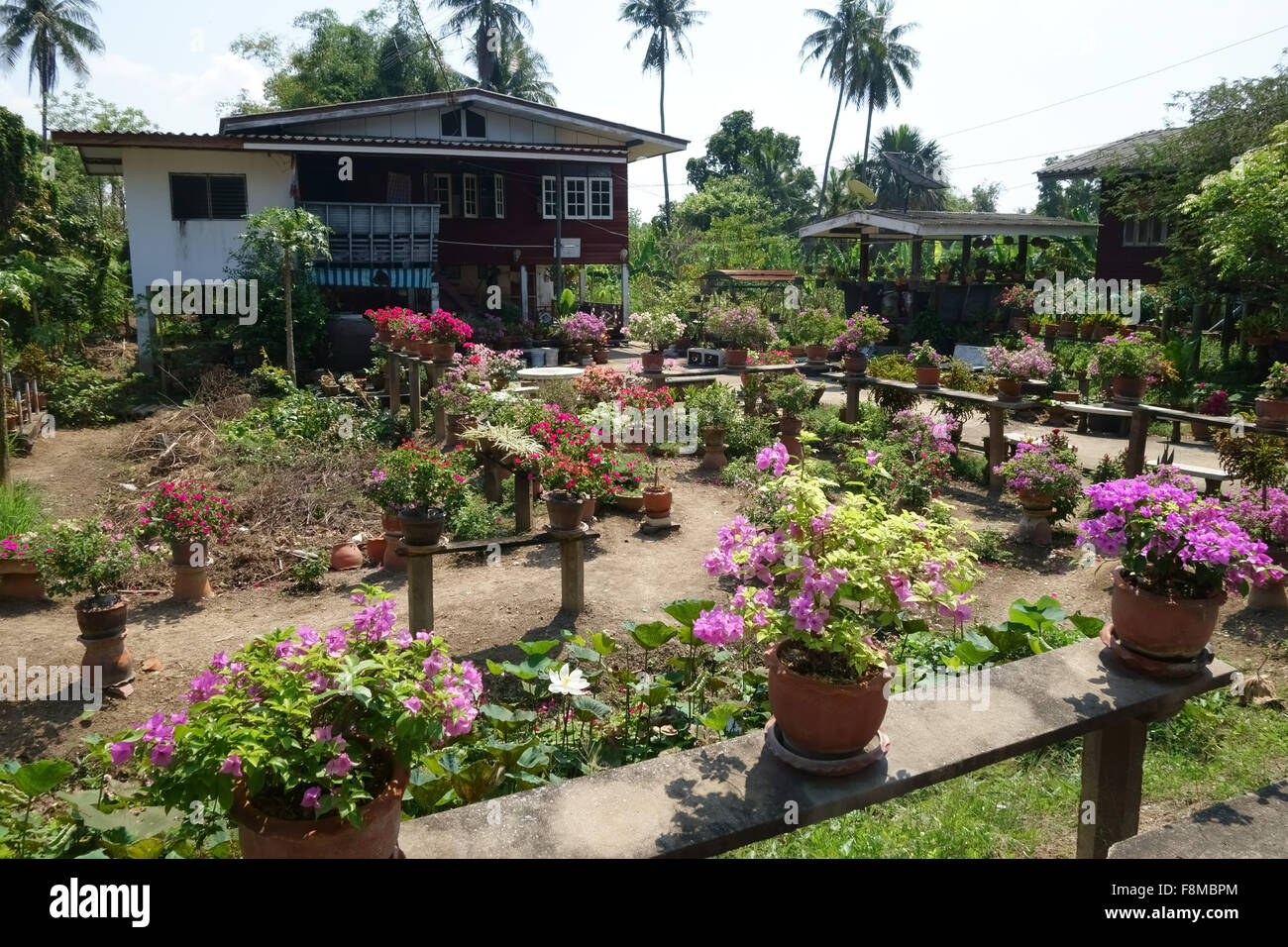 Pretty garden with flowering pot plants on the island of Kok Kret on the outskirts of Bangkok, Thailand Stock Photo