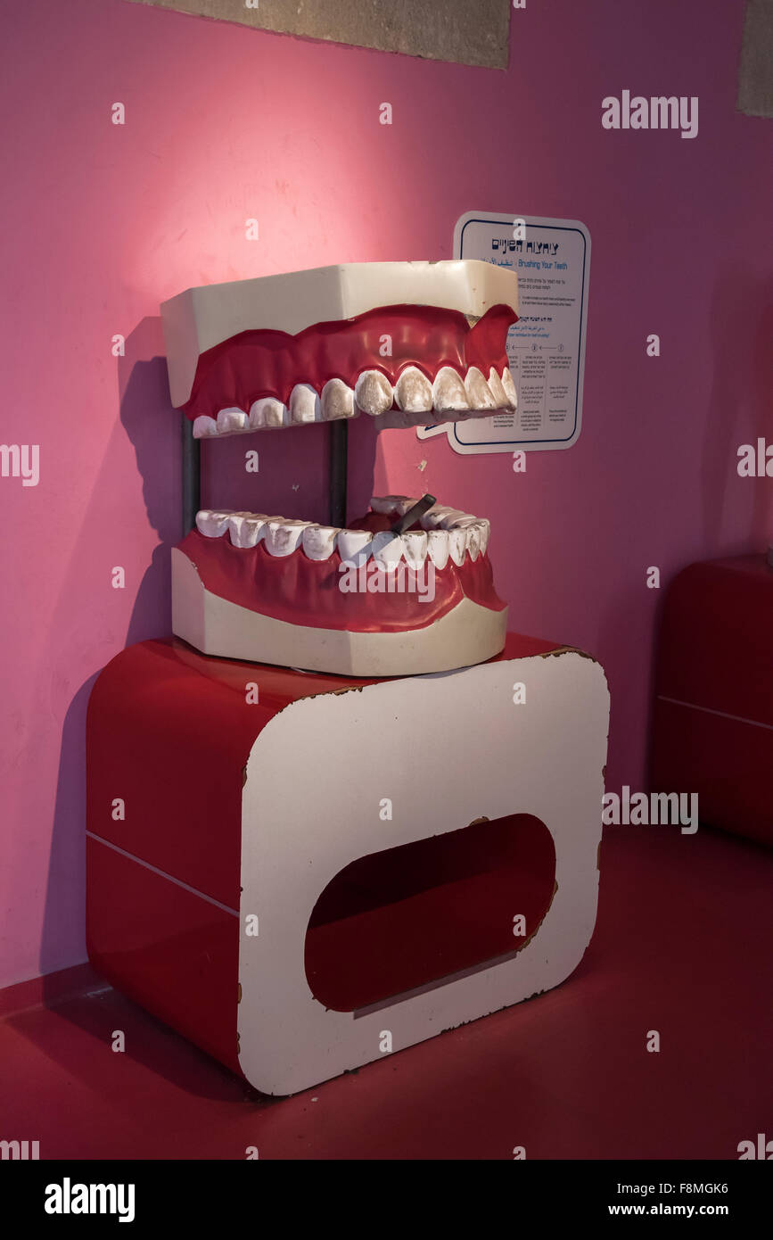 32 teeth aligned in a wide opened mouth ,The Teeth Exhibition National Museum of Science, Technology, and Space , Israel, Haifa Stock Photo