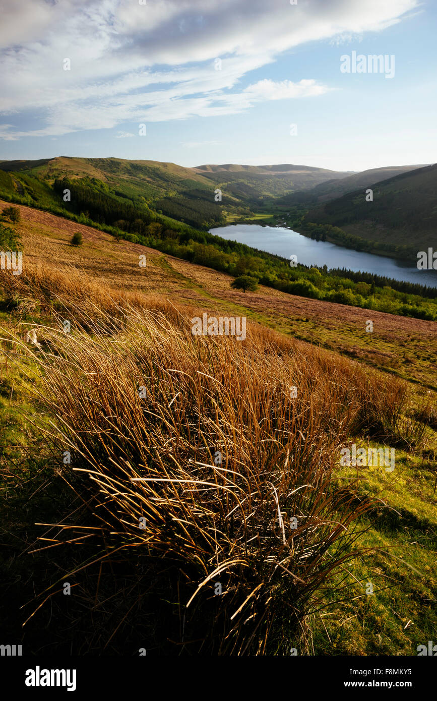 Talybont Reservoir and Glyn Collwn valley in the Brecon Beacons National Park, Powys, Wales, United Kingdom, Europe Stock Photo