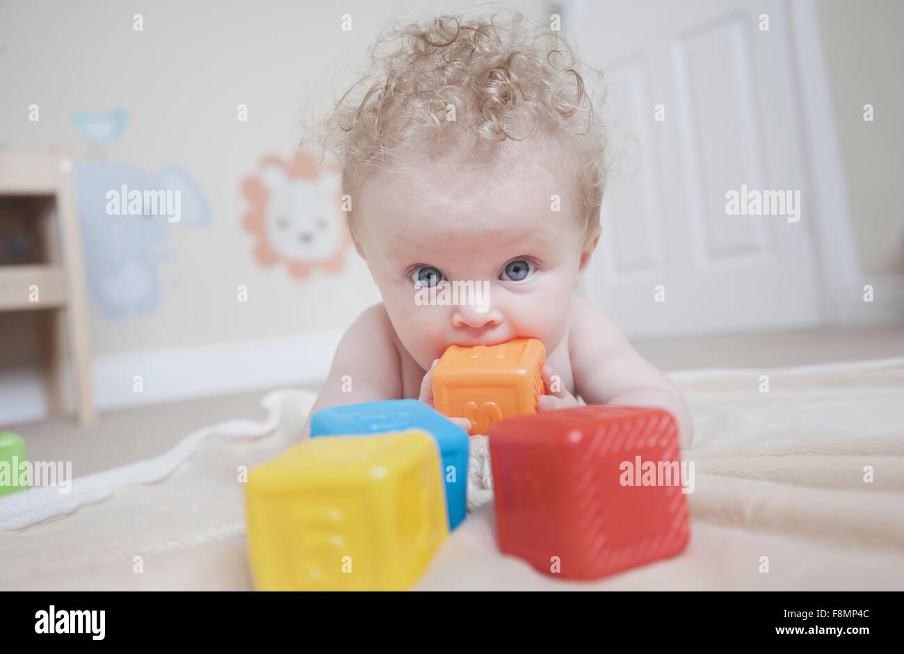Baby girl playing with coloured blocks Stock Photo