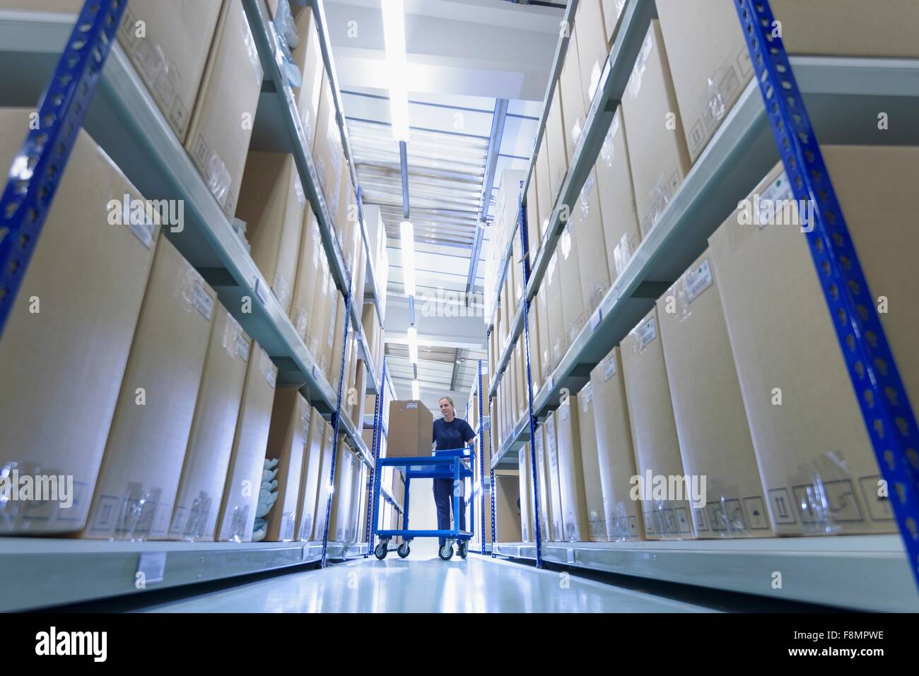 Worker in warehouse of surgical instruments factory Stock Photo