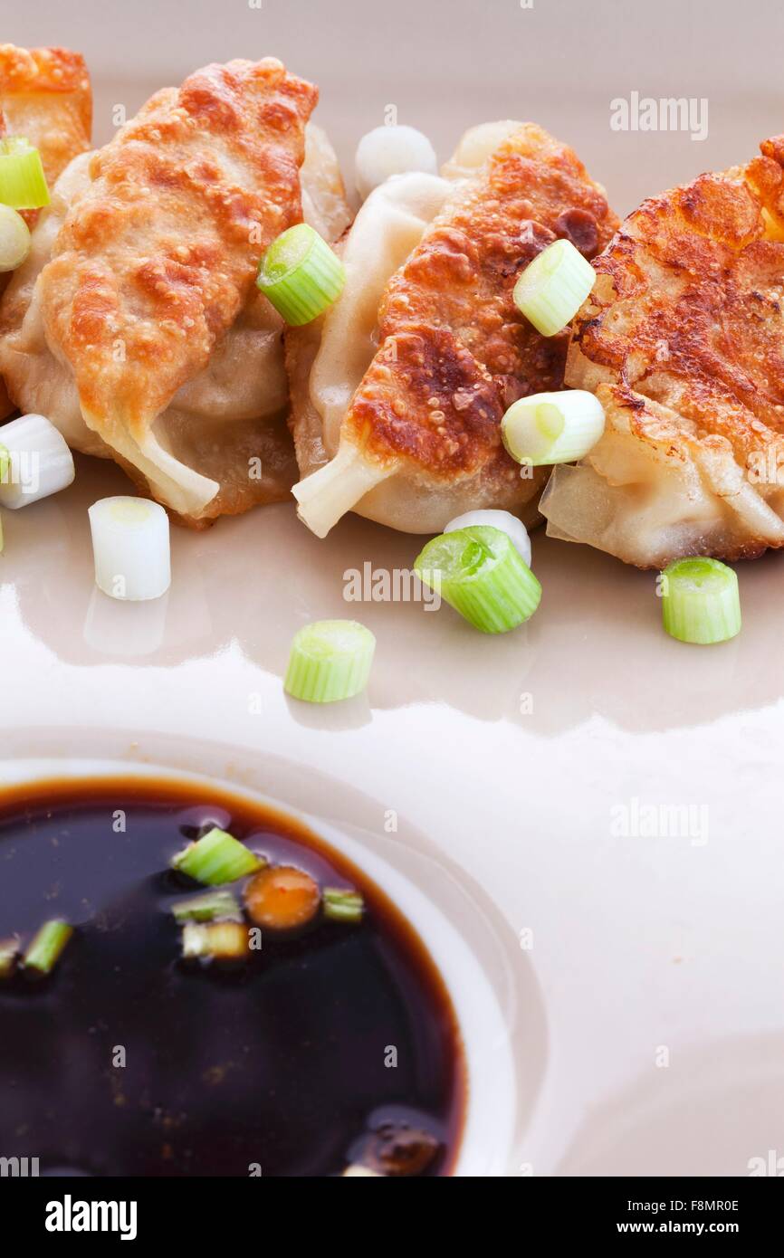 Shrimp Potstickers with Green Onion and Ponzu Dipping Sauce Stock Photo