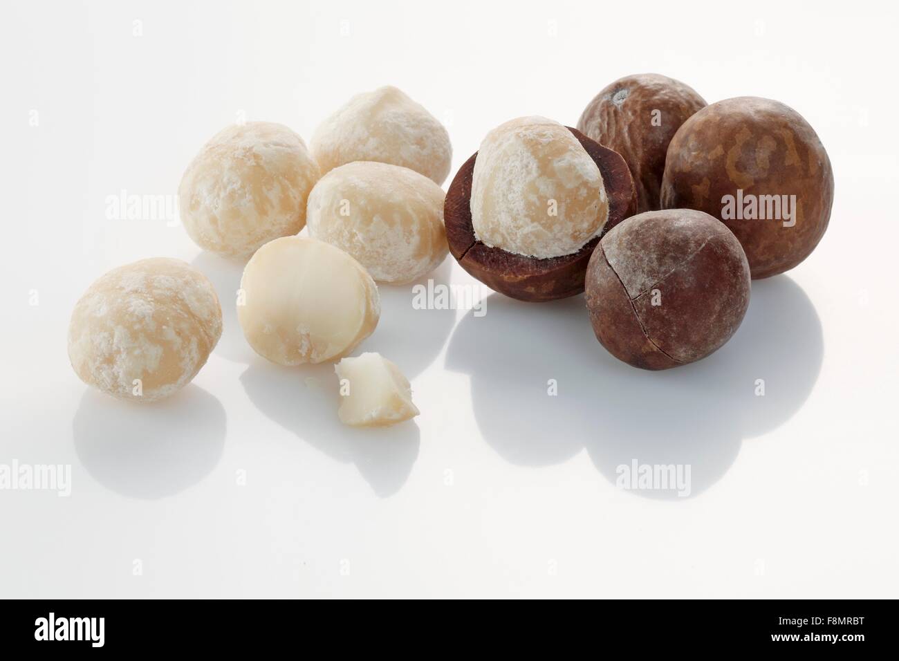 Macadamia nuts, with and without shells Stock Photo Alamy