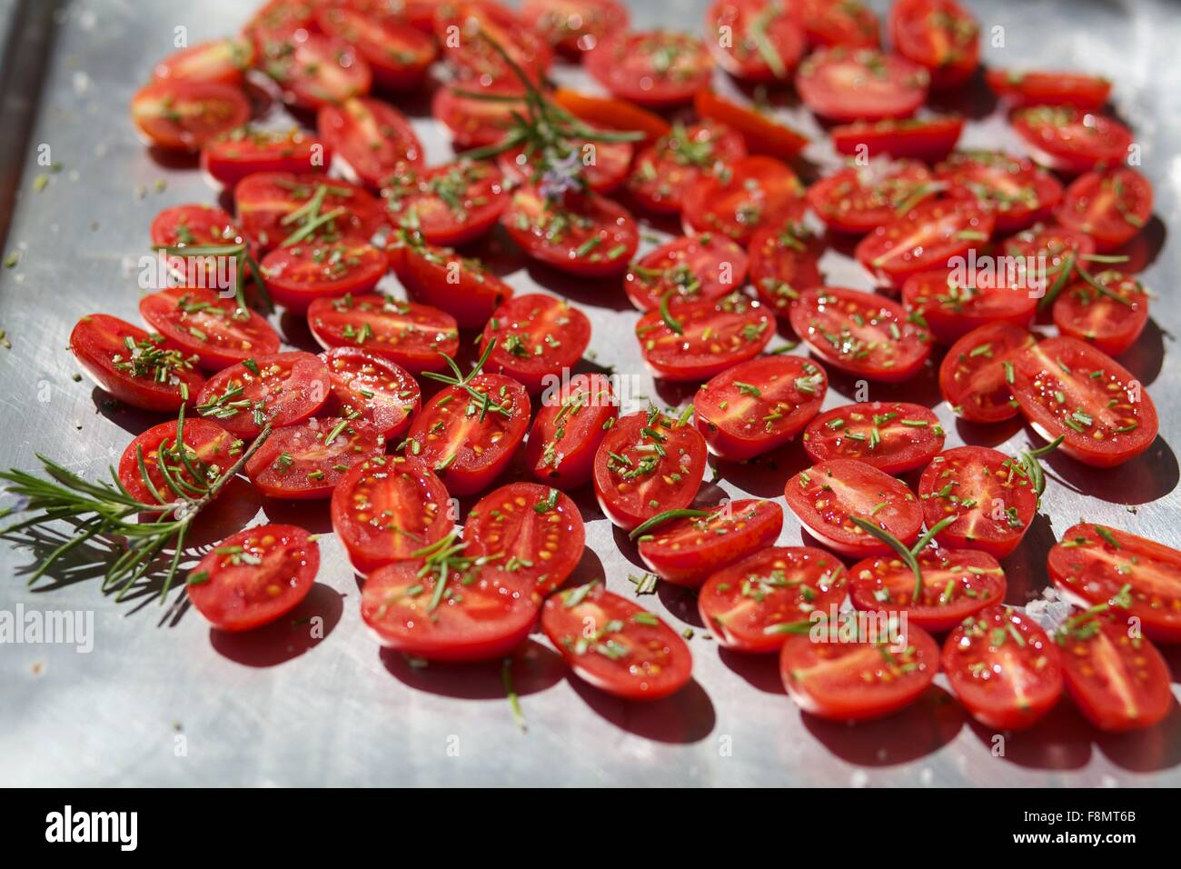 Tomatoes with rosemary on a baking tray to dry Stock Photo