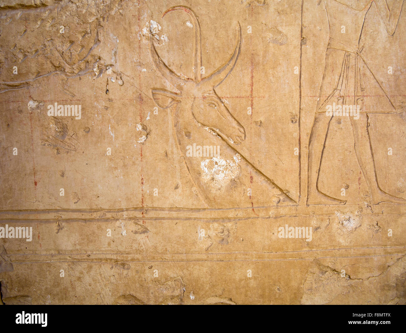 Grid pattern on a wall inside the Temple of Ramesses II close to the Temple of Seti I at Abydos, Egypt Stock Photo