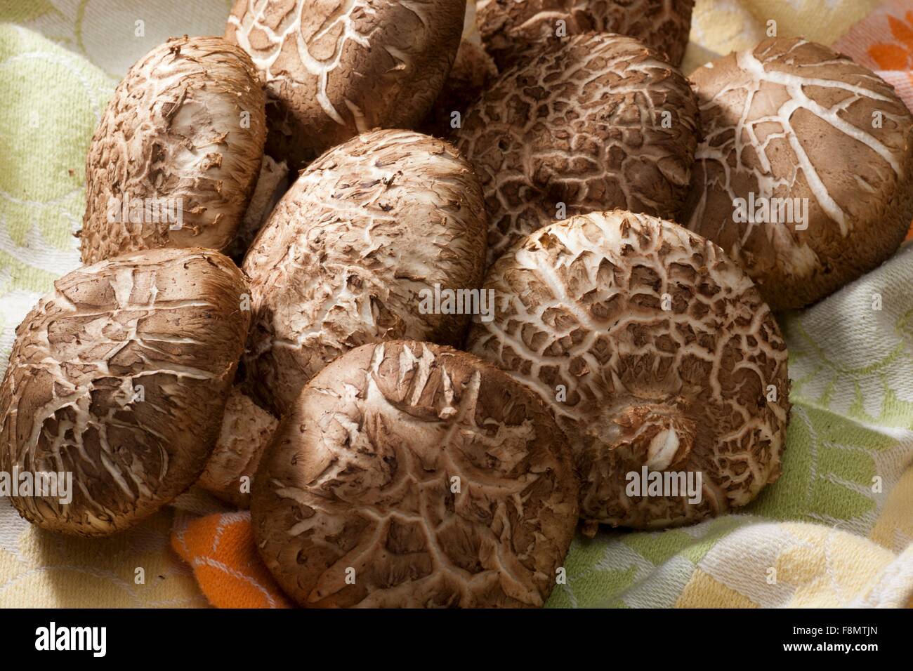 Shiitake Mushrooms on Wooden Surface Stock Photo