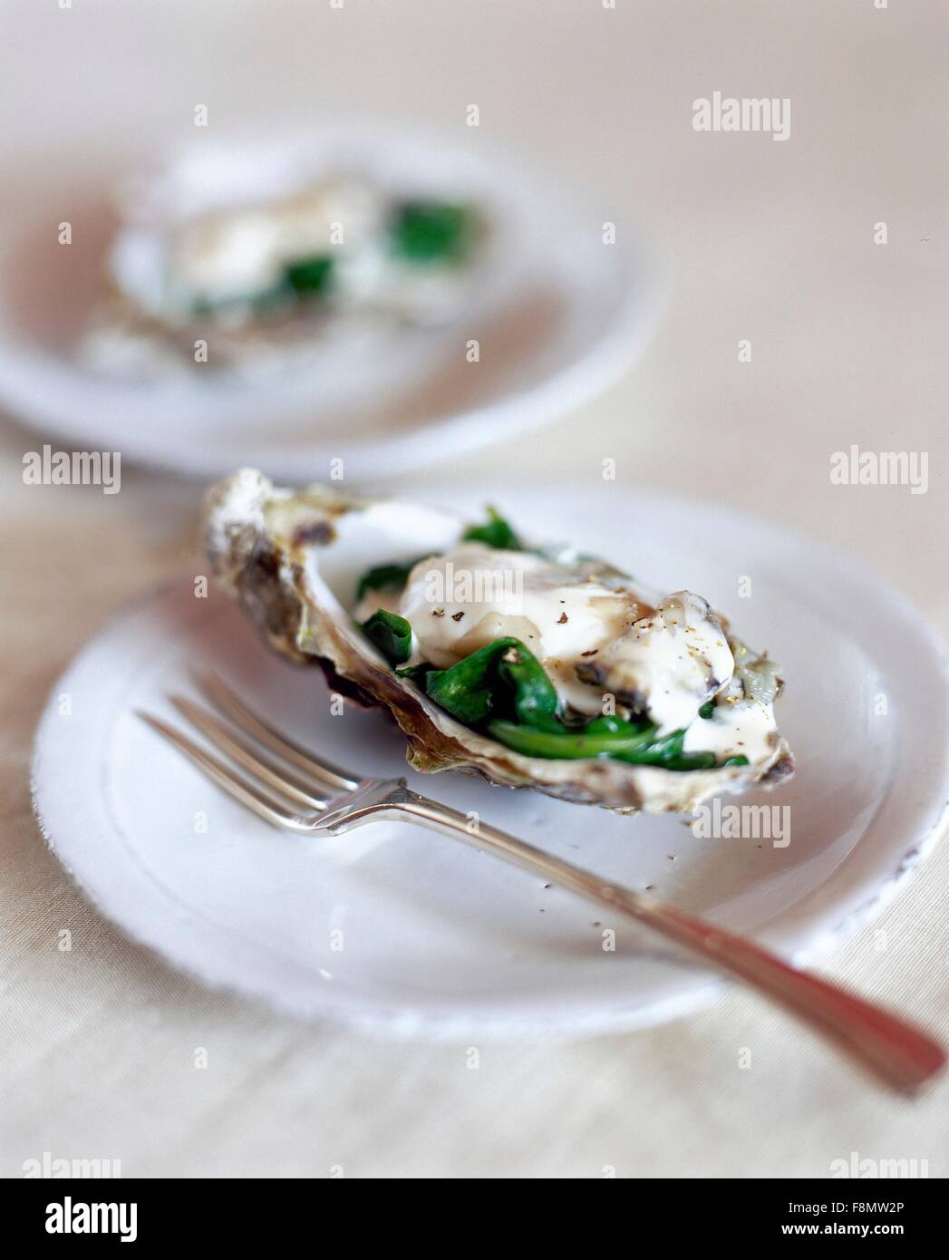 Shellaceded Oyster Shell Oyster in garnished shell Stock Photo - Alamy