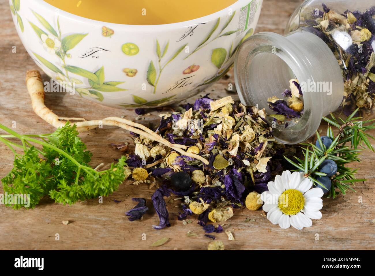 A medicinal infusion for treating the prostate Stock Photo