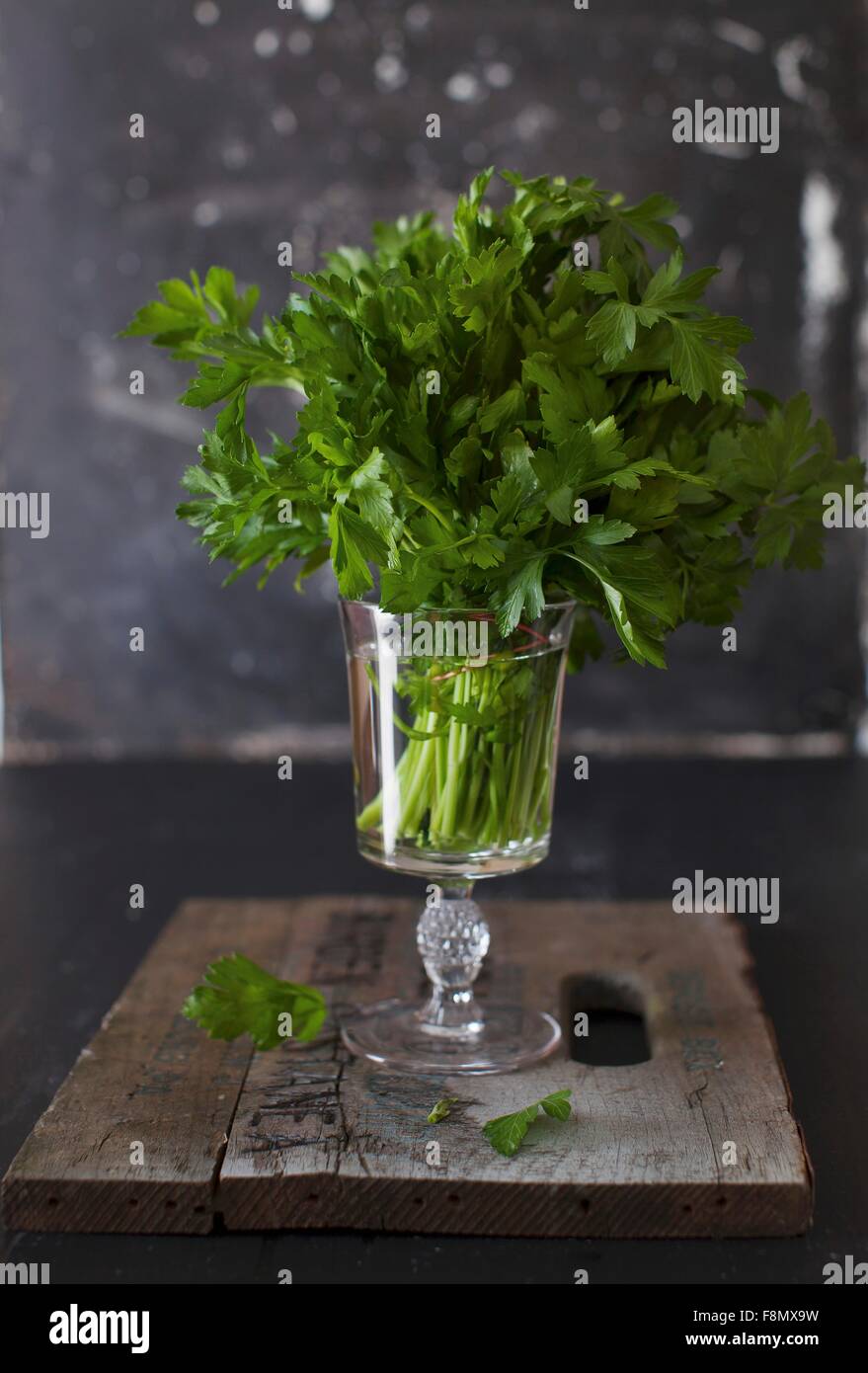 A bunch of parsley in a glass Stock Photo