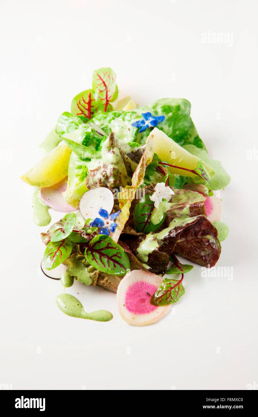 Mixed lettuce with cucumber, radish and edible flowers Stock Photo Alamy