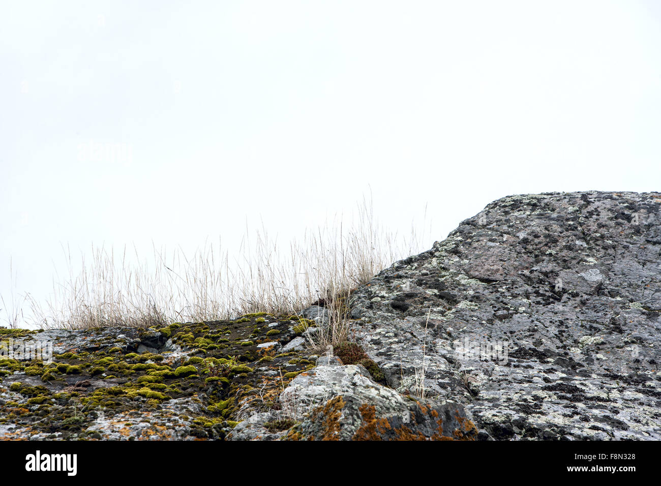 STONE main image 0