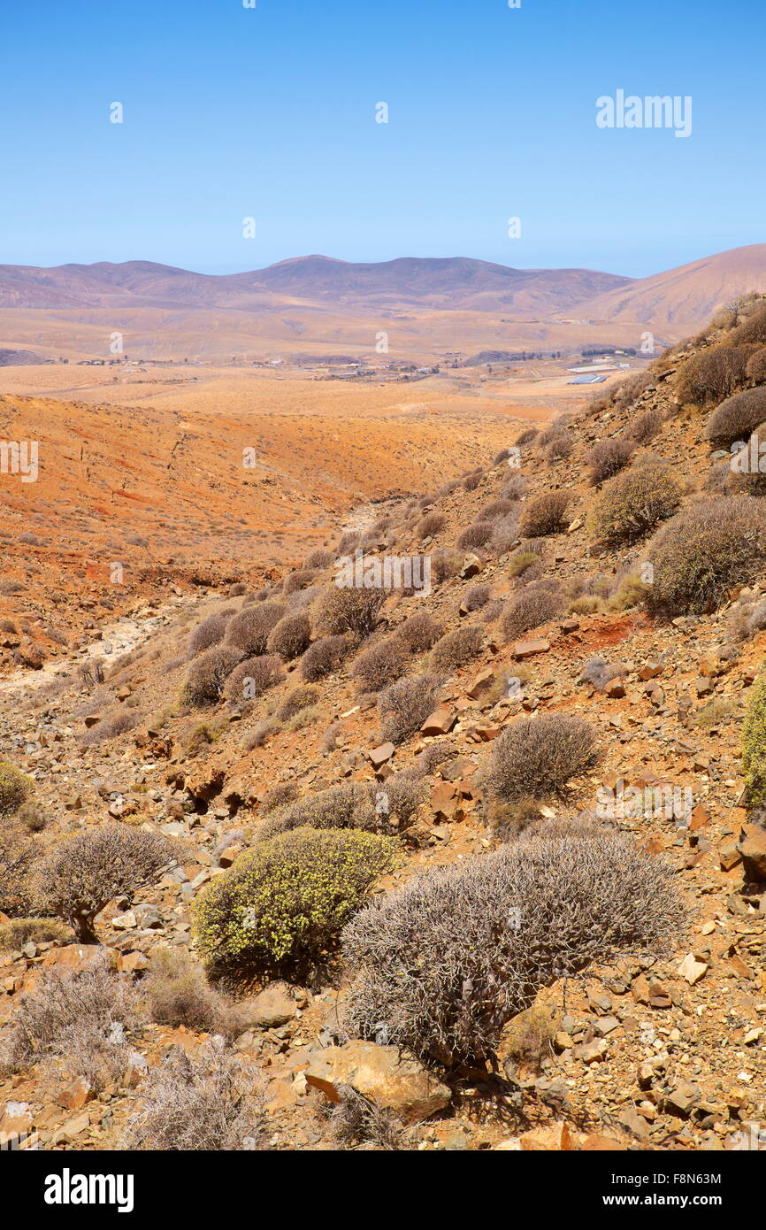 Canary Islands, Fuerteventura Island, landscape of Park Natural de Betancuria, Spain Stock Photo