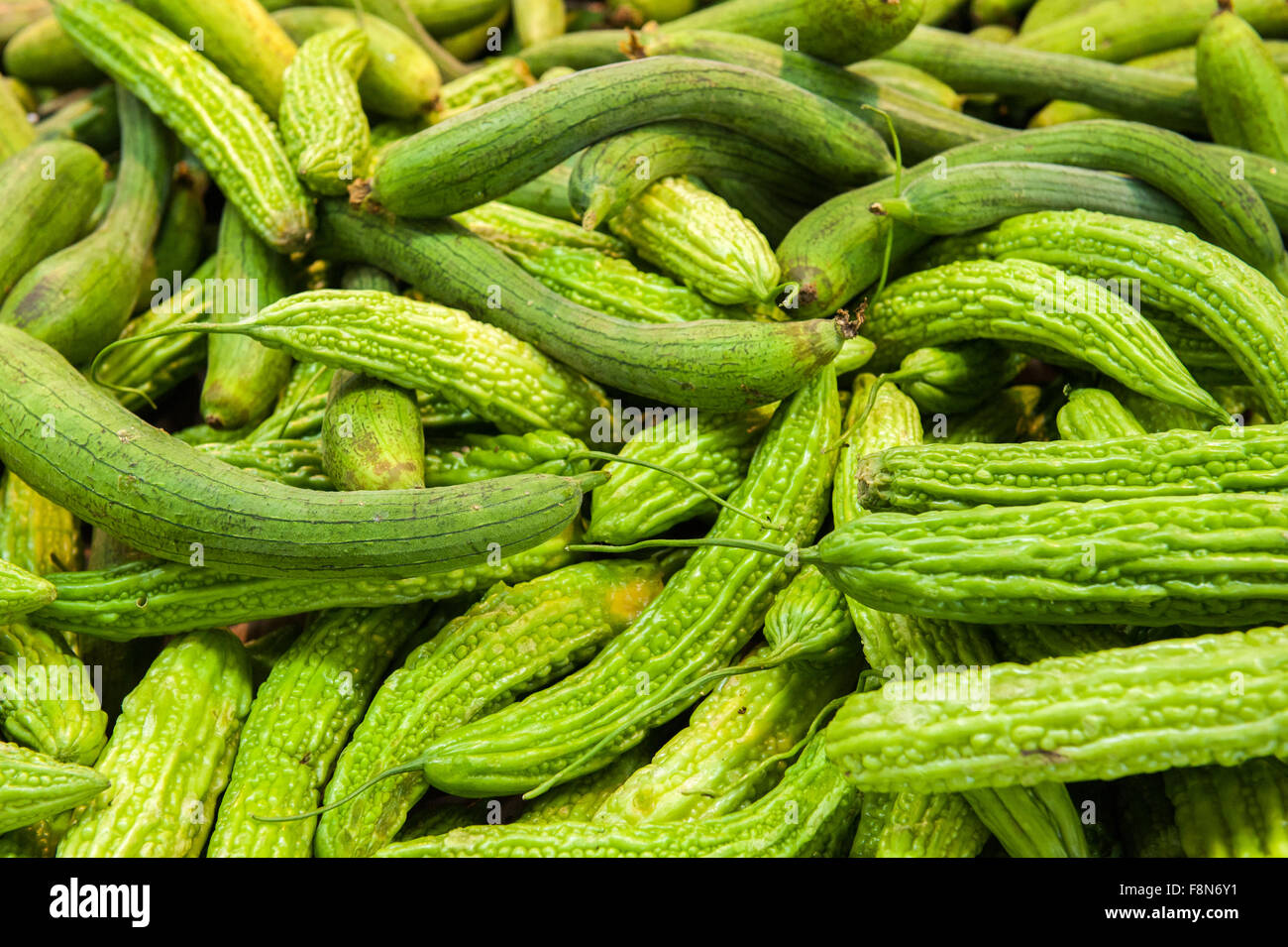 green Cucumbers with wrinkled skins at Asian market Stock Photo Alamy
